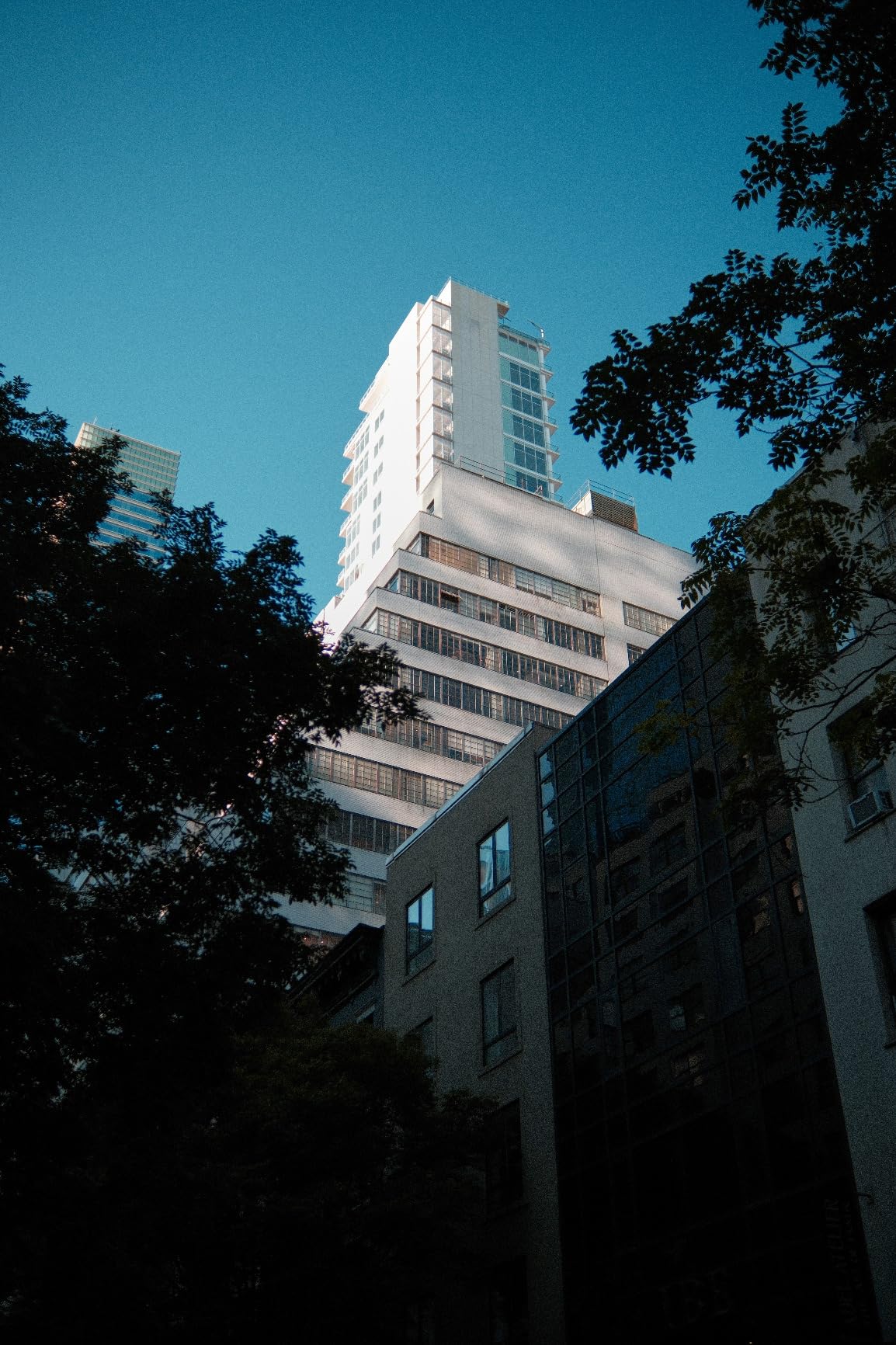 Fujifilm X-S20 Mirrorless Digital Camera XC15-45mm Lens Kit customer photo 1