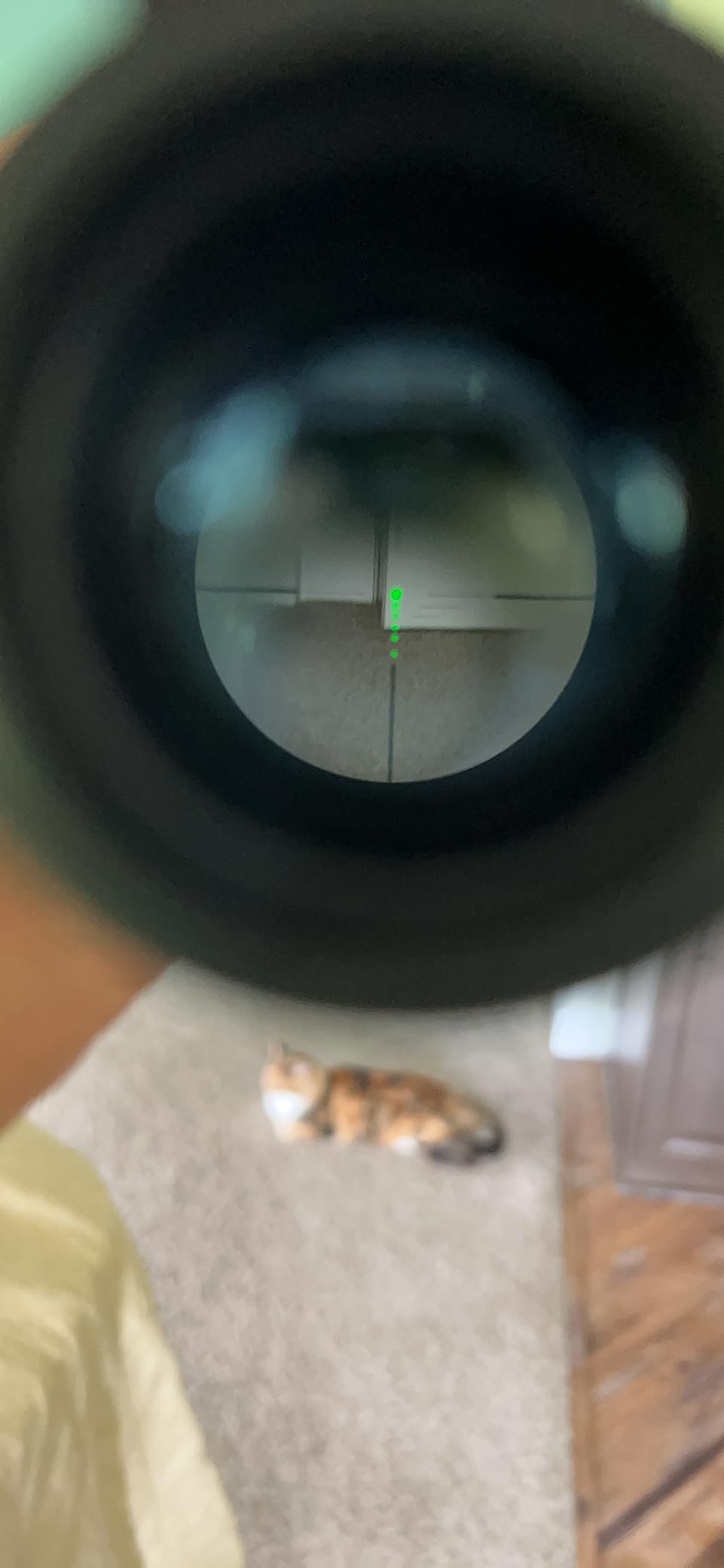 CVLIFE 4x32 Crossbow Scope, Red Green Illuminated Compact Crossbow Scopes for Hunting 20-100 Yards customer photo 1