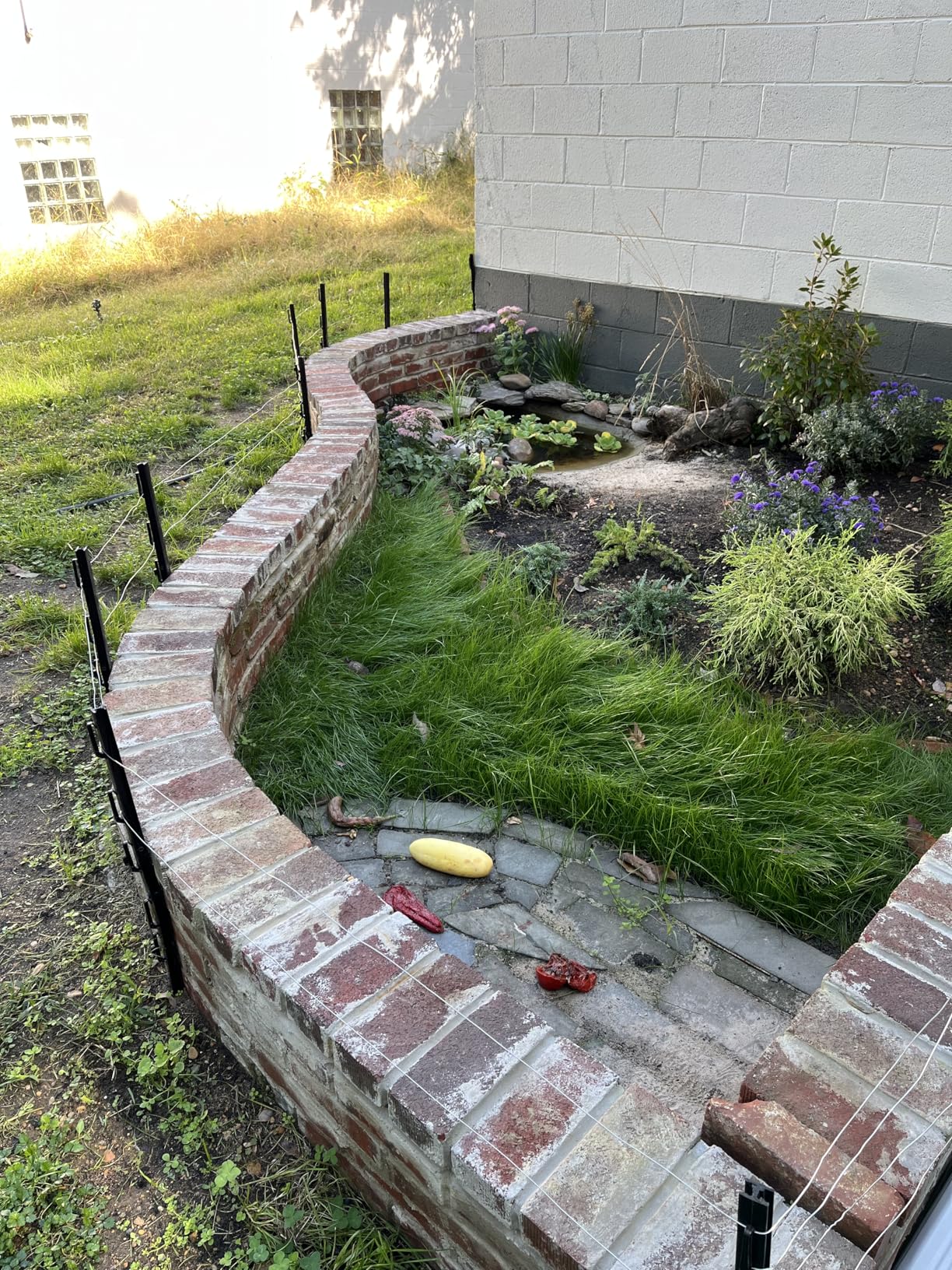 Electric Fence Charger - Powerful 110V AC Plug-in Fence Energizer for Chickens, Small Farms & Gardens - Easy Setup Predator Protection for Safer Free-Ranging customer photo 2