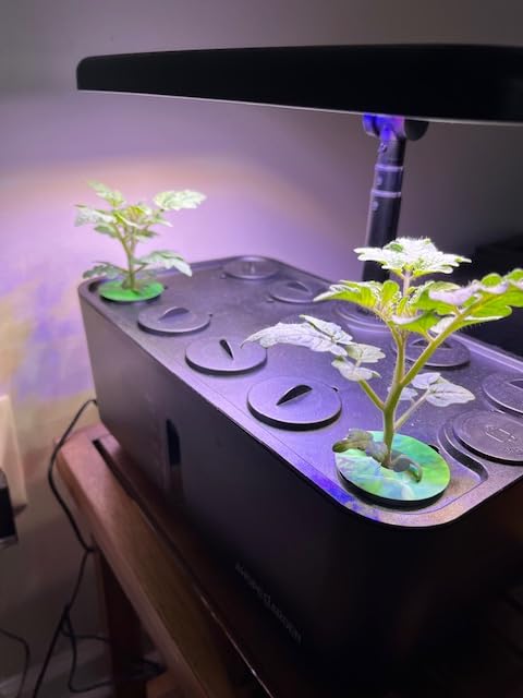 Ahopegarden Indoor Garden Hydroponics Growing System: 10 Pods Plant Germination Kit Herb Vegetable Growth Lamp Countertop customer photo 2