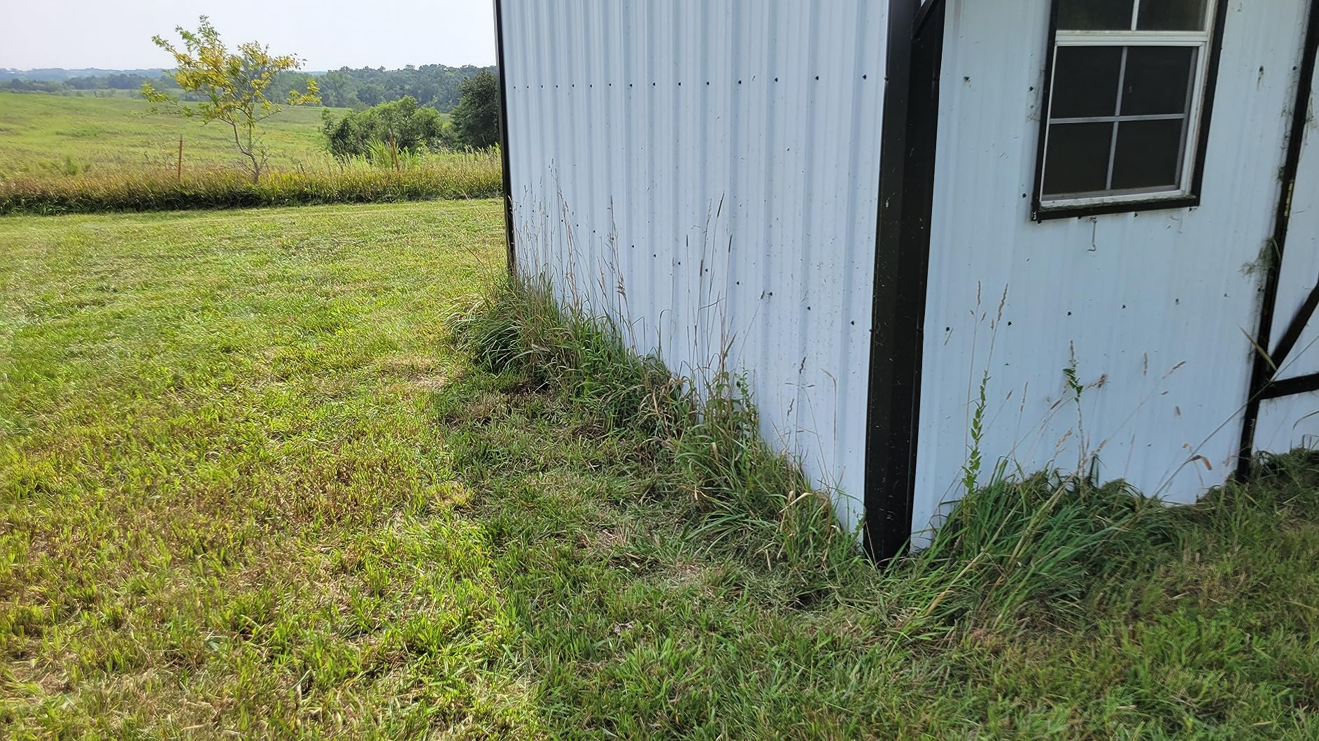 Husqvarna WeedEater 320iL Cordless String Trimmer with 4 Ah Battery and Charger, 16-Inch Straight Shaft Electric Weed Eater with Rapid Replace Trimmer Head for Seamless String Reloading customer photo 2