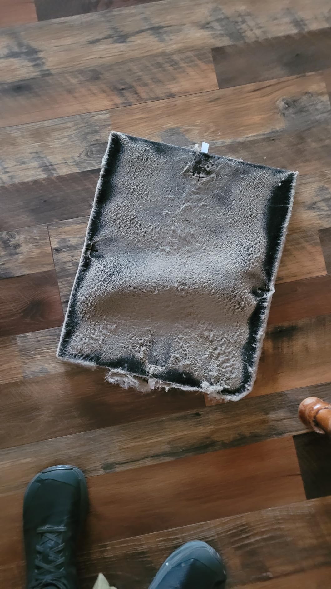 AIRDOCTOR AD3500 Air Purifier. Cleans Kitchens, Bedrooms, Large Rooms Up to 2,520 ft2. Remove Allergens, Smoke, Dust, Mold, Pet Hair, Odors, Pollen. Hospital-Grade UltraHEPA, Premium Carbon Filtration customer photo 1