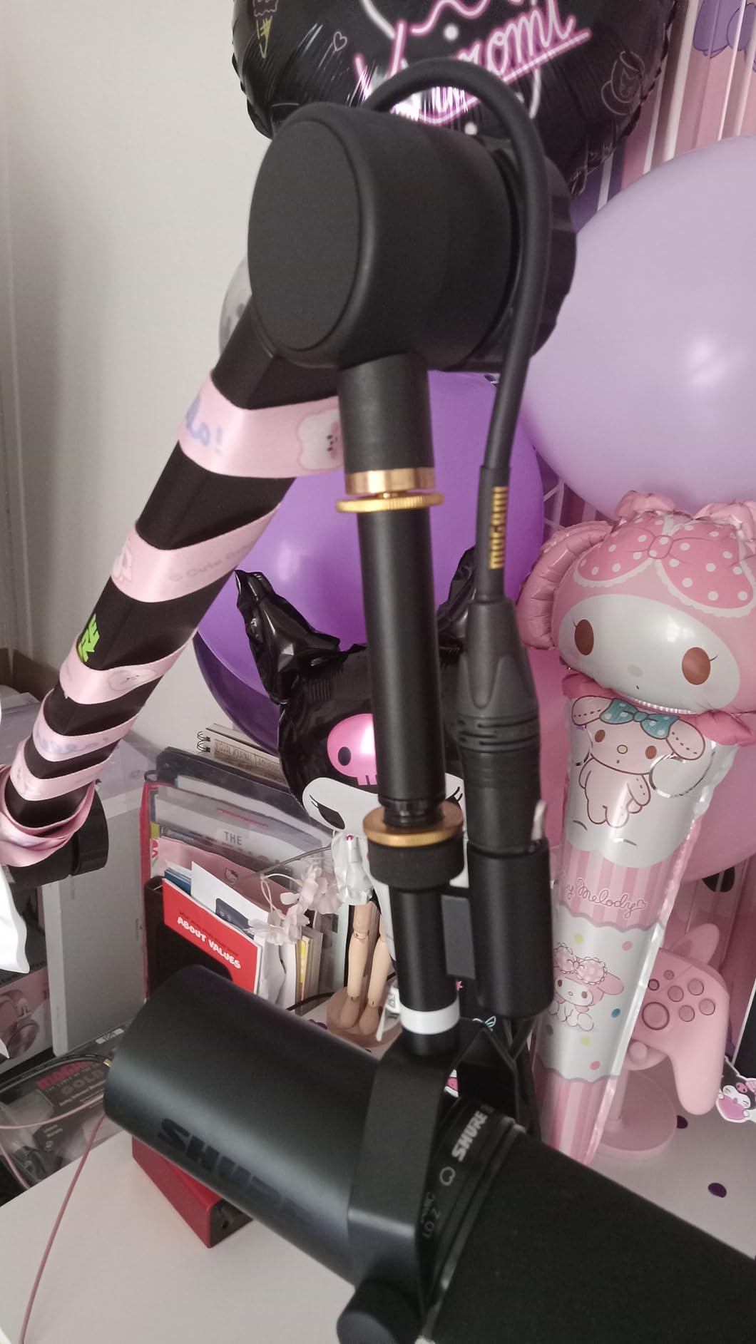 Shure SM7dB Dynamic Vocal Microphone with Built-in Preamp - Studio Mic for Streaming, Podcasting, and Recording - Smooth Sound, Wide Frequency Range, Rugged Build, Windscreen Included, XLR, Black customer photo 2