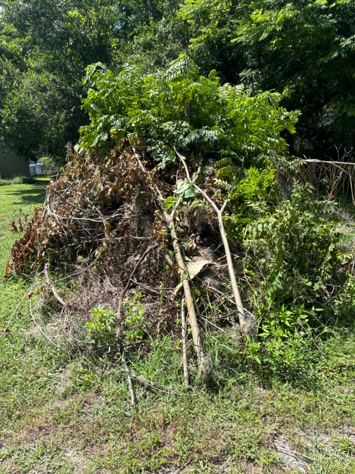 Husqvarna Power Axe 350i Cordless Electric Chainsaw, 18 Inch Chainsaw with Brushless Motor and Quiet Superior Cutting Power, 40V Lithium-Ion 7.5 Ah Battery and Charger Included customer photo 2