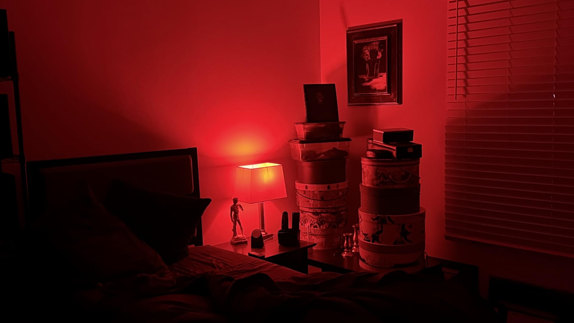 TP-Link Tapo Smart Light Bulbs, 1100 Lumens High Brightness (75W Equivalent), Matter-Certified, 16M Colors WiFi Light Bulb, Dimmable, Works w/Siri, Alexa & Google Home, A19 E26, Tapo L535E(2-Pack) customer photo 1