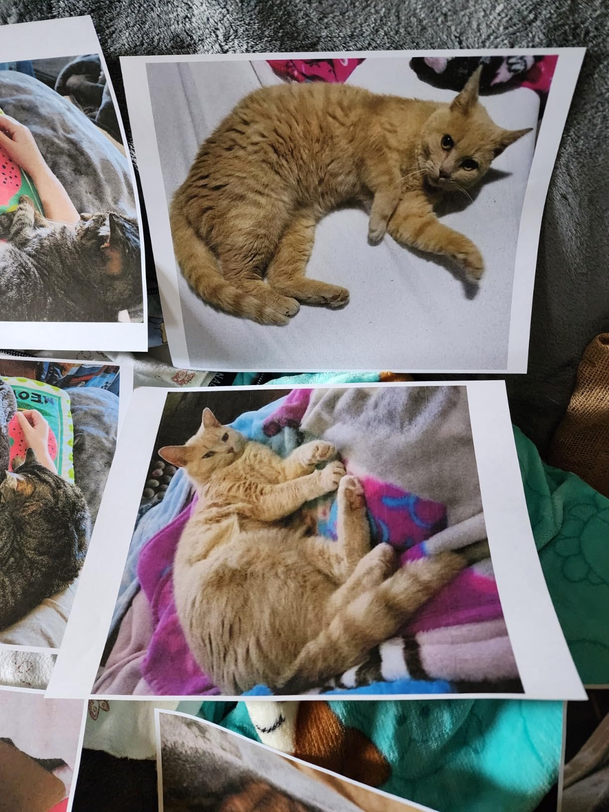 HP OfficeJet Pro 9125e Wireless All-in-One Color Inkjet Printer, Print, scan, copy, fax, ADF, Duplex printing best-for-office, 3 month Instant Ink trial included, AI-enabled customer photo 1