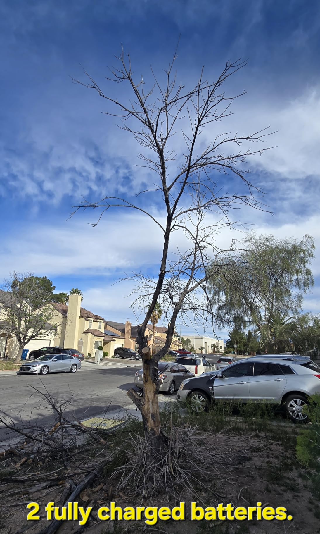 Mini Chainsaw Cordless,6 Inch Portable Electric Chainsaw with Automatic Oiler/Security Lock/Battery Powered Small Handheld Saw customer photo 1