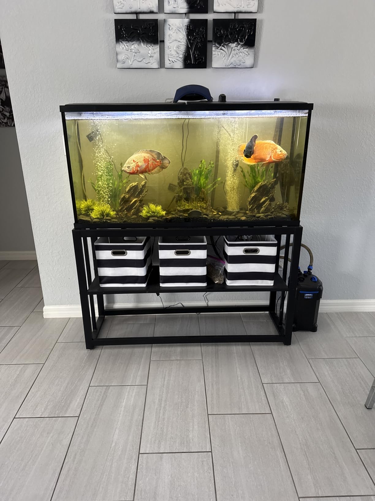 Akenow 55-75 Gallon Fish Tank Stand with Storage Shelf, 48.5 x14.9 x 29.2 Inch Aquarium Stand, Turtle Tank, Reptile Terrariums and Breeder Tank Stand, 980LBS Capacity, White customer photo 1