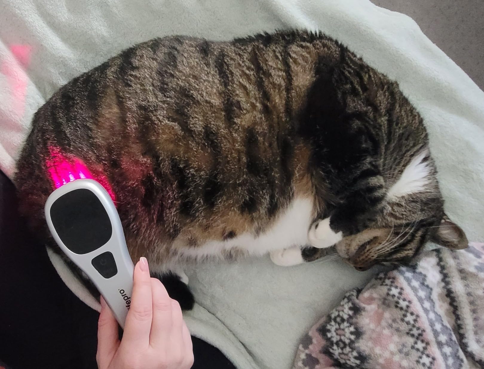 LifePro Infrared & Red Light Therapy for Body Joints & Muscles Wellness Support, Portable Red Light Therapy Device, Near Infrared Light Therapy for Body & Face - Use 3 wavelengths customer photo 2