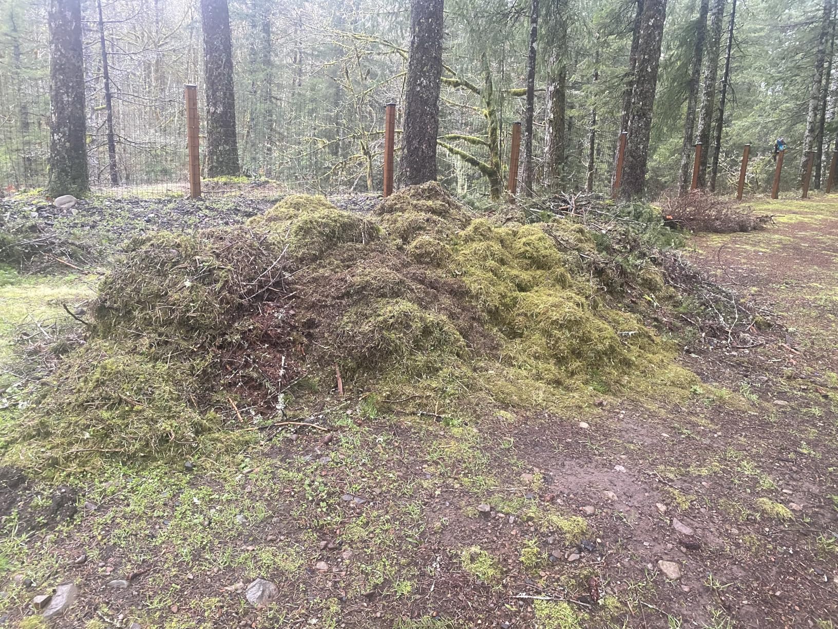 Wen 20V Max Cordless 15-Inch 2-in-1 Brushless Electric Dethatcher and Scarifier with Collection Bag, Two 4.0 Ah Batteries, and Dual-Port Charger (20716) customer photo 1