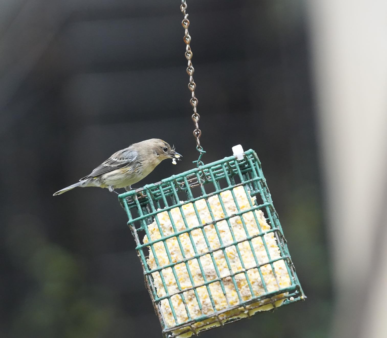 Tamron 70-180mm F/2.8 Di III VC VXD G2 for Sony E-Mount Full Frame Mirrorless Cameras customer photo 1