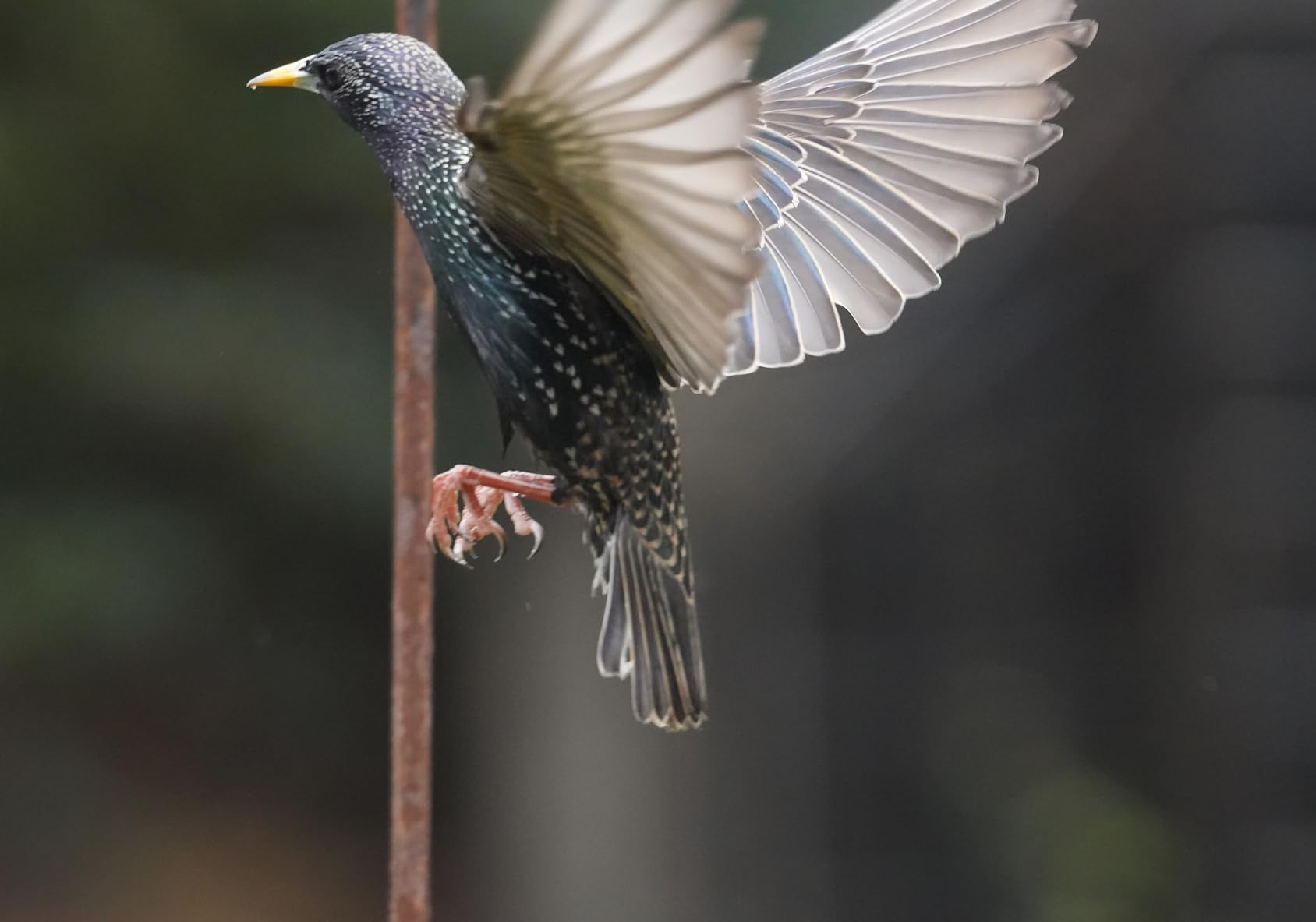 Tamron 70-180mm F/2.8 Di III VC VXD G2 for Sony E-Mount Full Frame Mirrorless Cameras customer photo 2