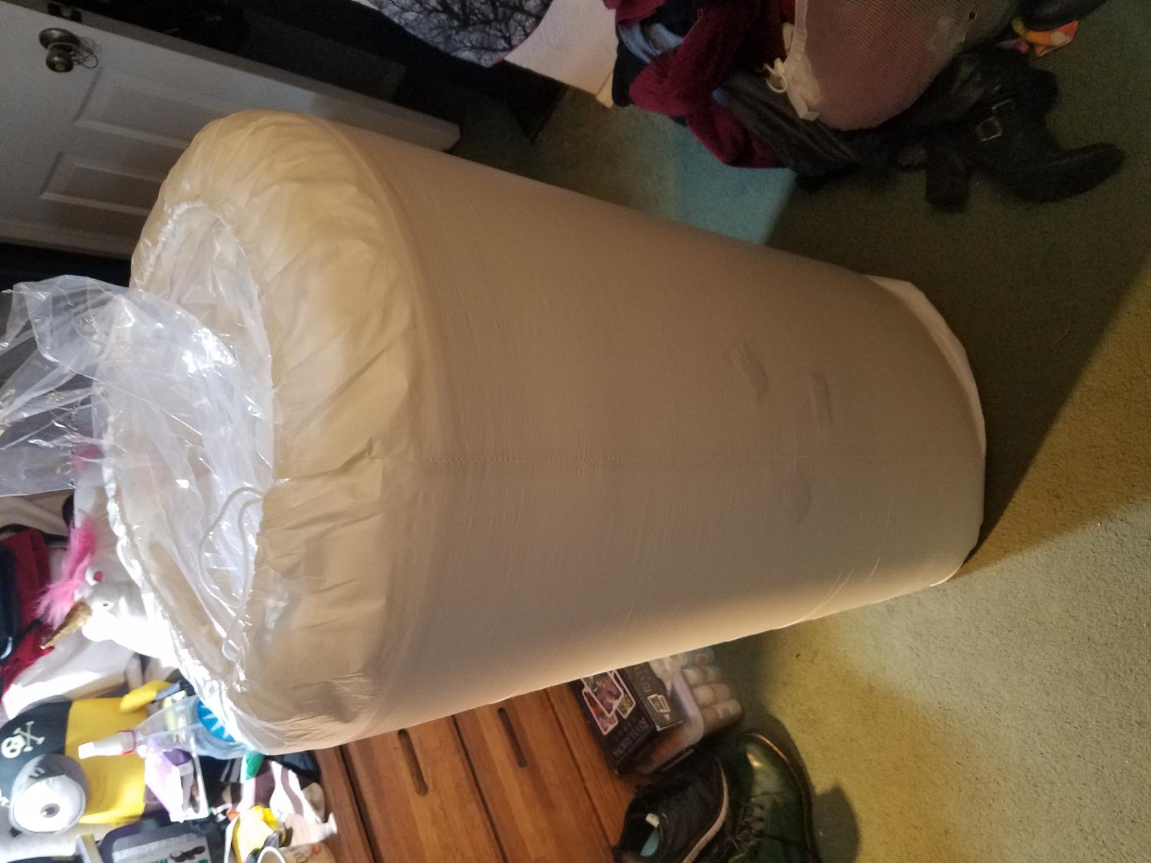 Zinus 12 Inch Green Tea Memory Foam Mattress, Medium Firm Feel, Zoned Pressure Relief, Fiberglass Free, CertiPUR-US, Queen customer photo 2