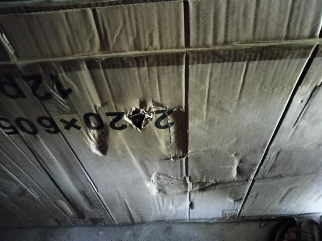 Tatuo 12 Pack 8' X 2' X 0.16'' Polycarbonate Greenhouse Panels Twin-Wall customer photo 1