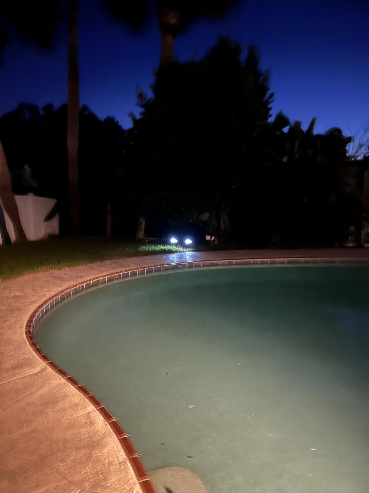 nipify Solar Lights Outdoor Waterproof, Motion Sensor Spot Lights - 4 Pack/56 LED/3 Modes Solar Powered Spotlights 2-in-1 Auto On/Off Landscape Lighting for Outside Yard Wall Garden customer photo 1