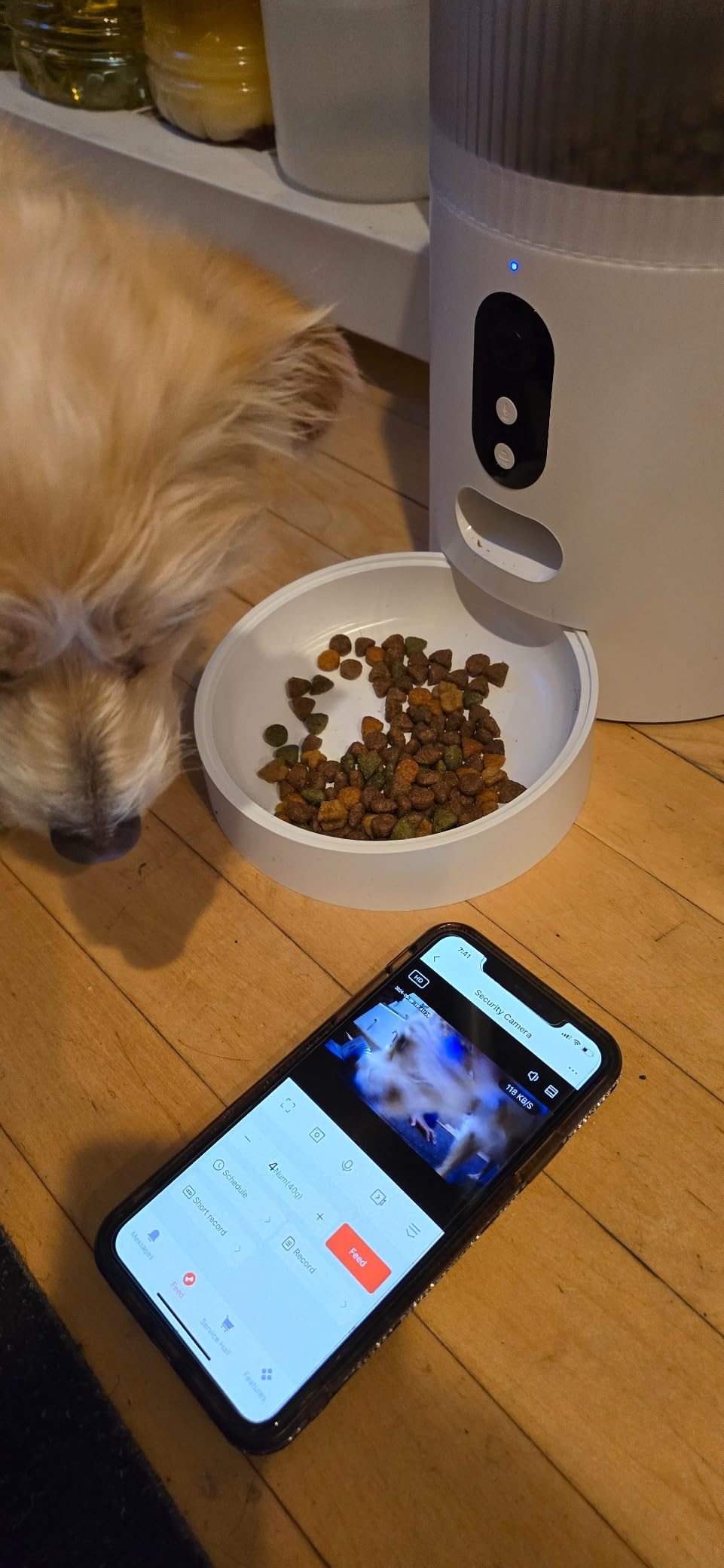 Faroro Automatic Cat Feeder with Camera, 3MP HD Video with Night Vision, 5G WiFi Cat Feeder Automatic with APP Control, 2-Way Audio, Low Food Sensor, Motion Alerts for Cats and Dogs customer photo 2
