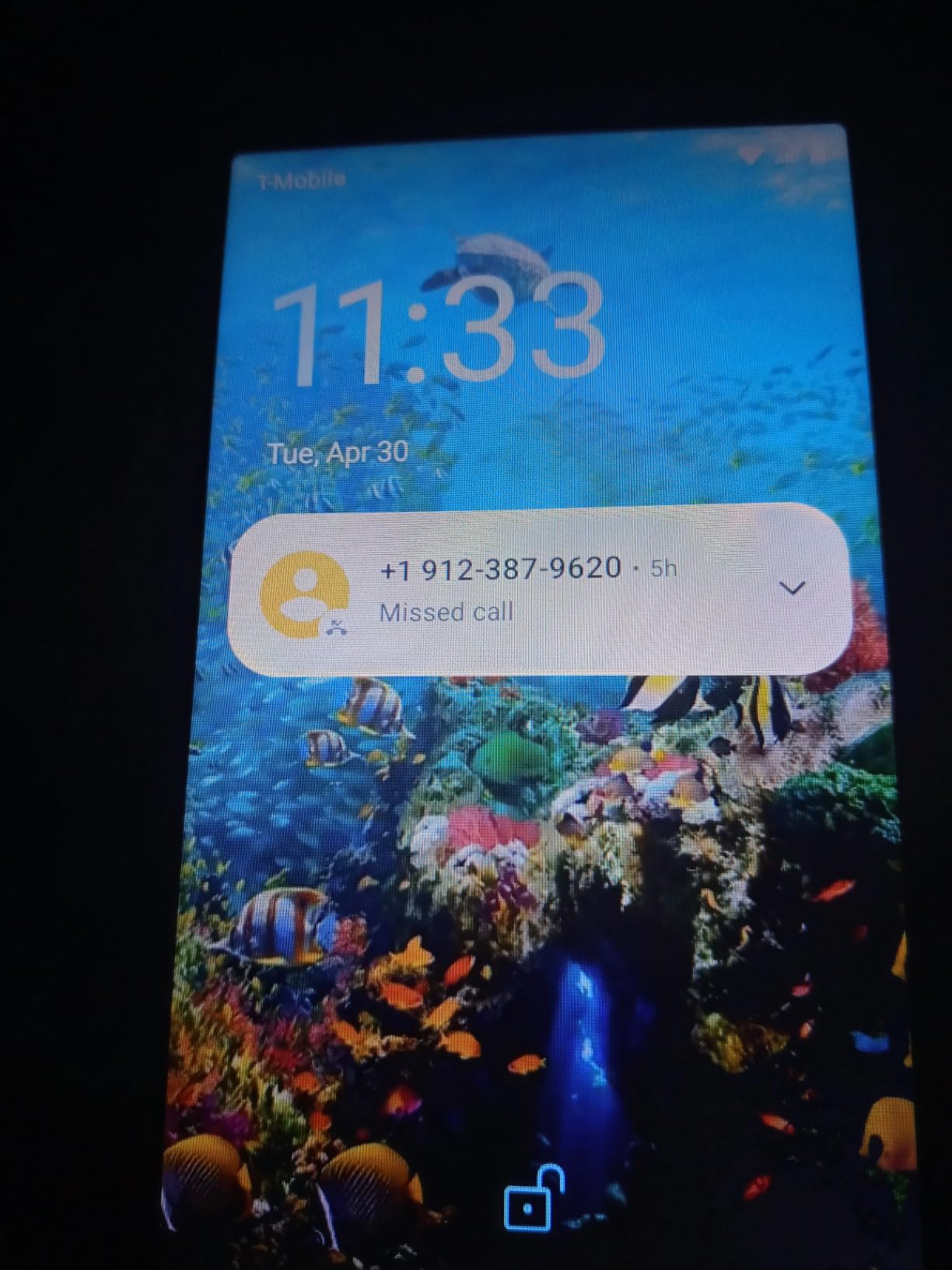 BLU C5L MAX | 2024 | All-Day Battery | GSM Unlocked | 5.7