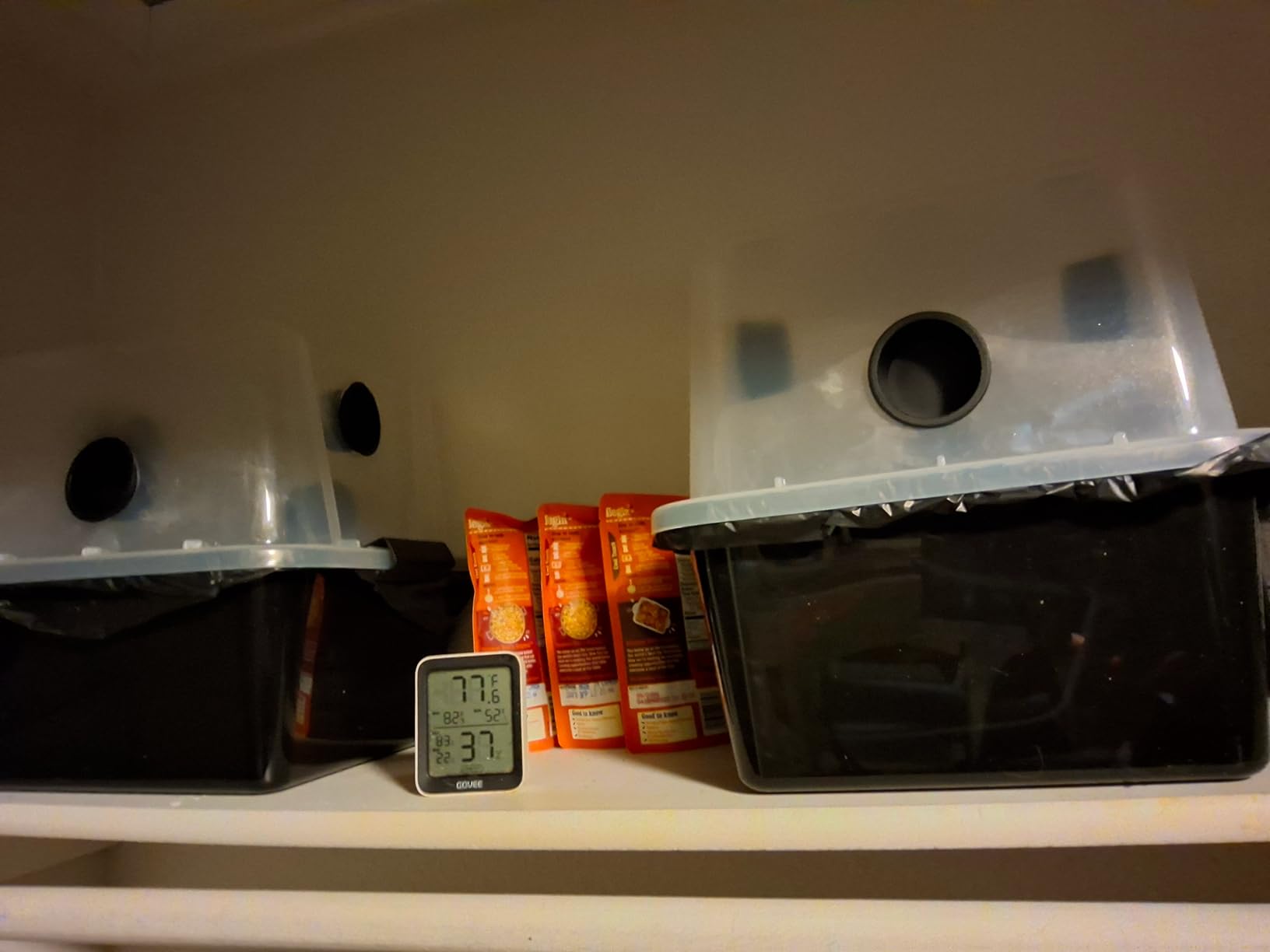 Grower's Select 66Q Large Mushroom Monotub Fruiting Chamber with Filter Disks and Liner customer photo 1