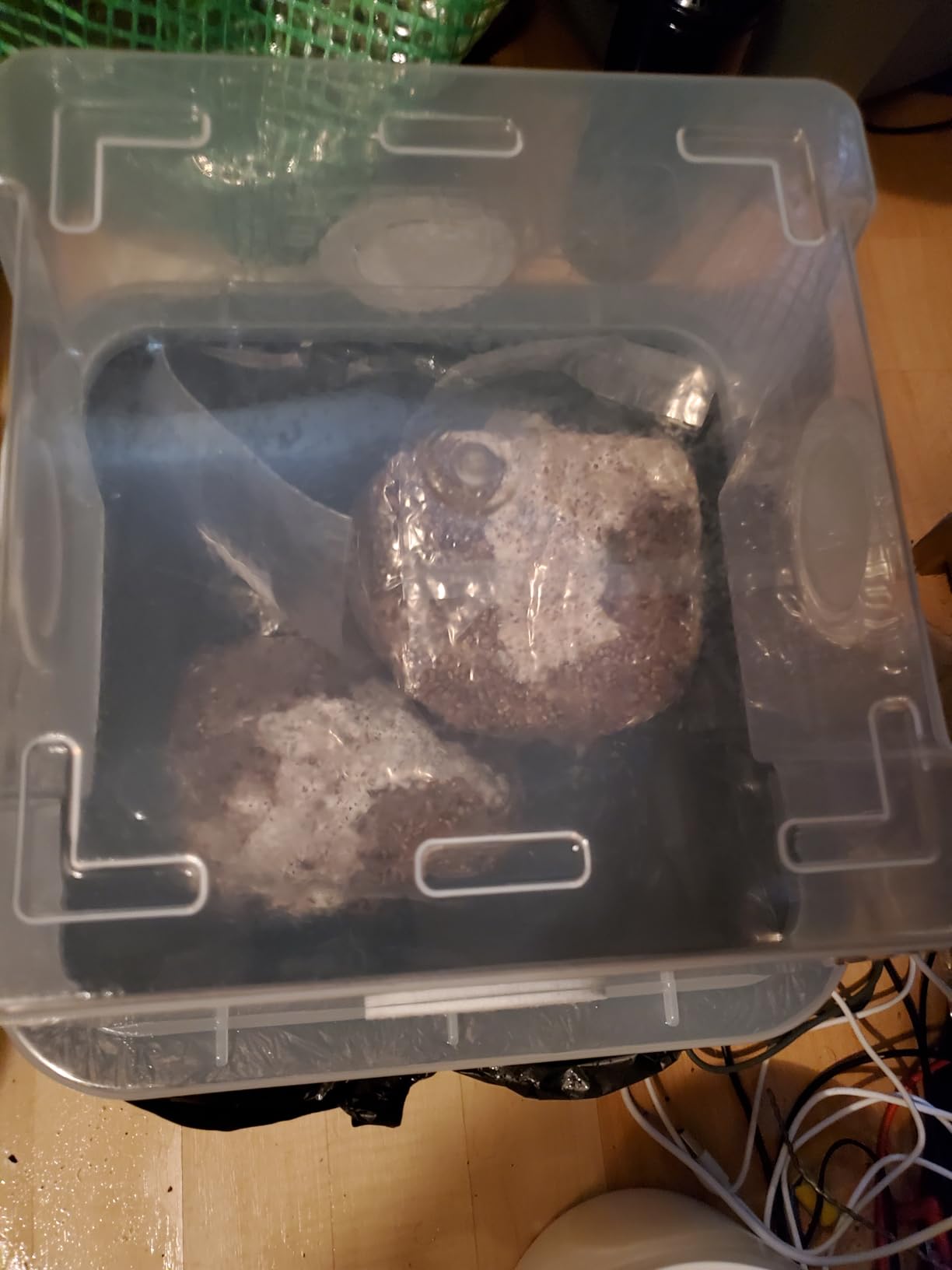 Grower's Select 66Q Large Mushroom Monotub Fruiting Chamber with Filter Disks and Liner customer photo 2