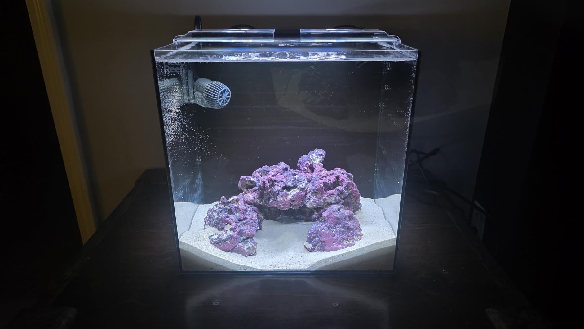 HelloReef 15 Gallon Beginner Clownfish Saltwater Aquarium Kit with App Controlled Smart LED Lighting, Filtration, Decor, and Setup Guide customer photo 2