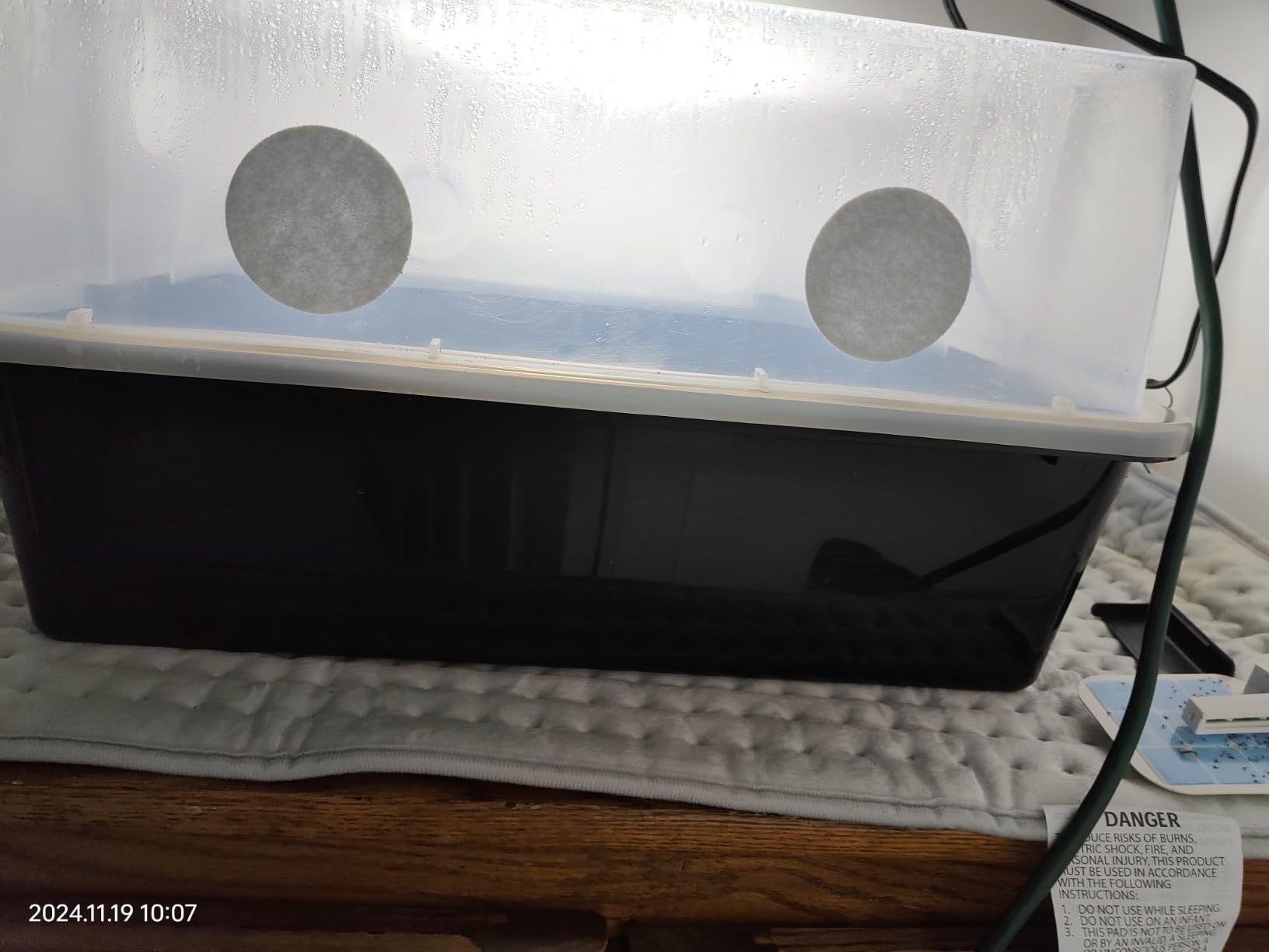 Mushroom Monotub Large 66Q Grow Kit | Complete Mushroom Grow Kit | for Dung-Loving Mushrooms | Includes 2 sterilized Grain Spawn Bags, Bulk Substrate, Vermiculite, Filters & More! Just add Spores customer photo 1