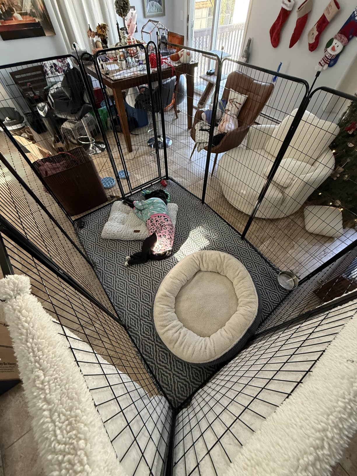 ADAVIN Tall Garden Fence with Gate, 48 in(H) 4 Panels Heavy Duty Iron Metal Fencing Border, Indoor or Outdoor Dog Playpen, Animal Barrier Fence, No Dig Fencing for Yard, Total 8.9 FT(L), Black customer photo 1