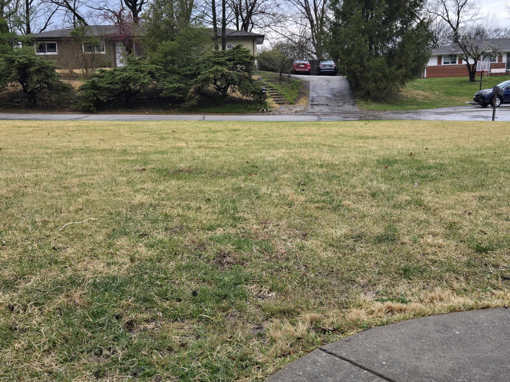 2-in-1 Dethatcher & 16-Inch Scarifier Electric Corded, 15 Amp Copper Motor, Electric Lawn Dethatcher with 5-Position Depth Adjustment, 14.5 gal Thatch Bag, Walk Behind for Yard Lawn Garden Care customer photo 2