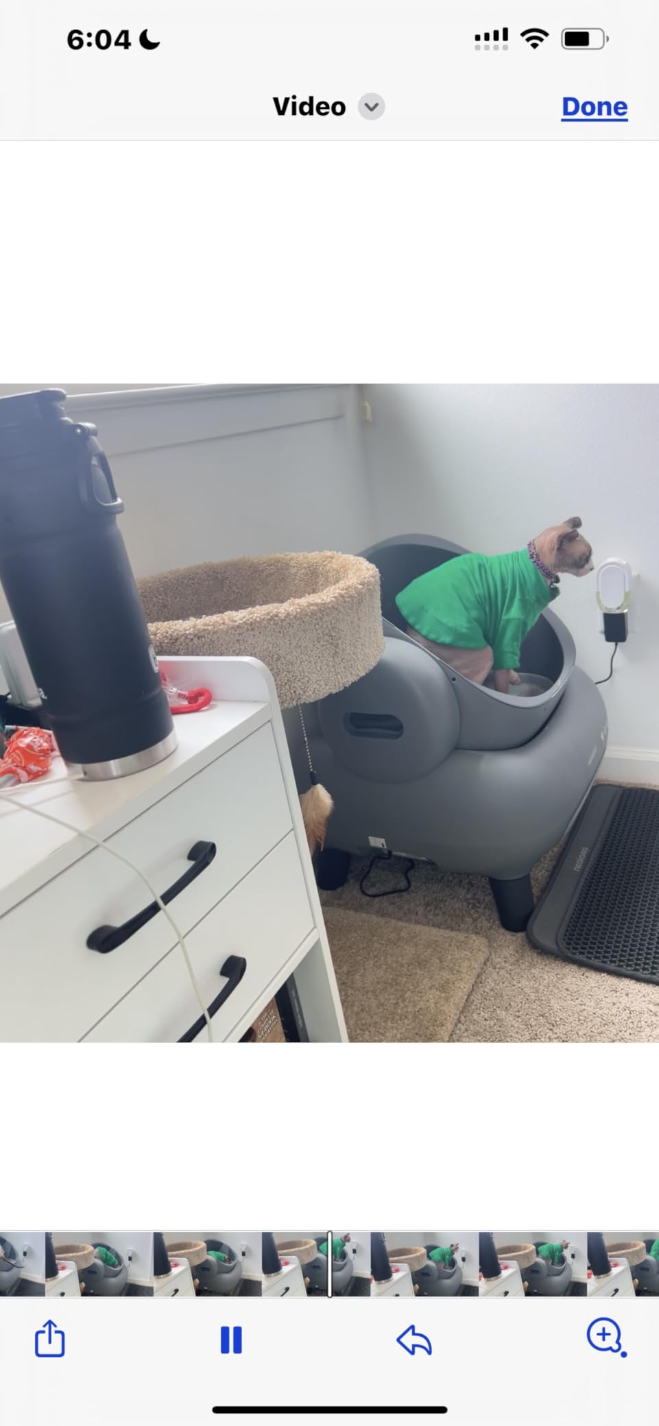 Neakasa M1 Plus Open-Top Self-Cleaning Cat Litter Box, 360° Safety Sensors, Advanced Odor & Leak Control, Automatic for Large & Multi-Cat Homes customer photo 1