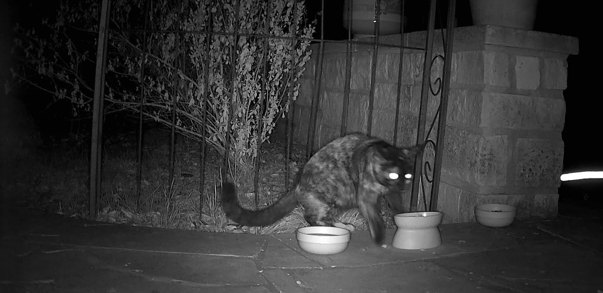 MAXDONE Solar WiFi Trail Camera Bluetooth Game Camera, 4K 64MP Wildlife Cameras 2000mAh Built-in Battery Rechargeable Power Hunting Cameras with Night Vision Trail Cam Bluetooth Wi-Fi Deer Cams customer photo 1