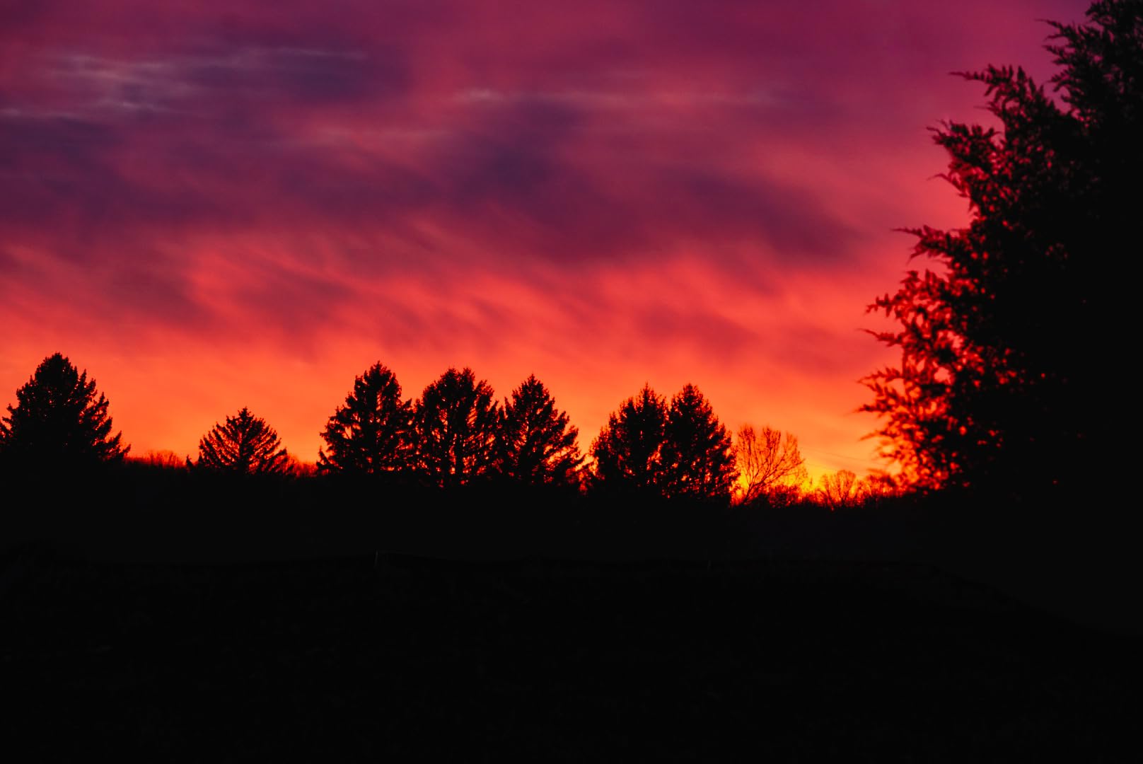 Meike 50mm F1.8 Full Frame AF STM Lens Standard Aperture Auto Focus Fixed Prime Portrait Lenses for Sony E Mount Mirrorless Cameras customer photo 2