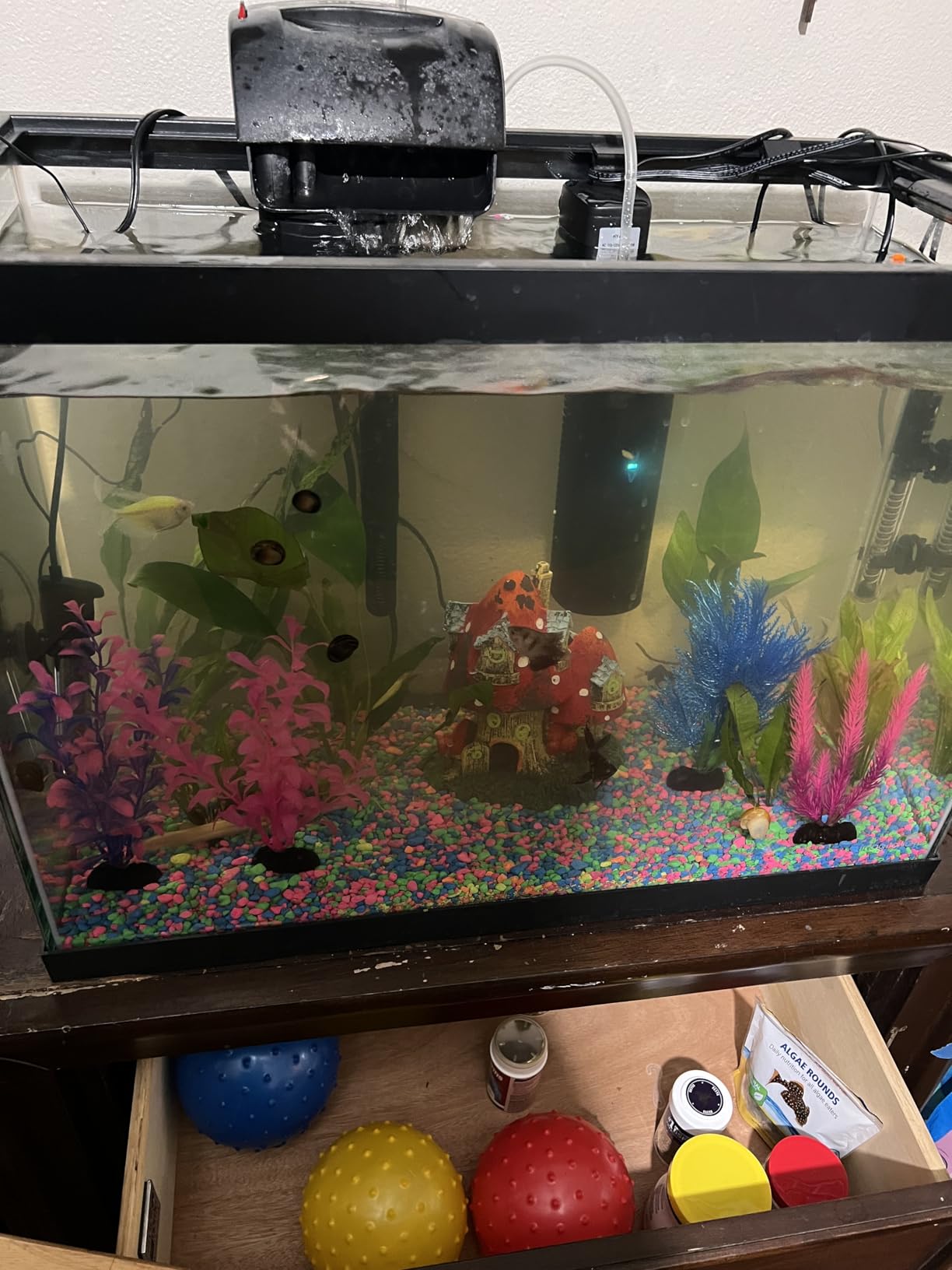 TARARIUM Aquarium Filter U-V for 20-75 Gallon, 200GPH Fish Tank Filter w/ 5W U-V Light Green Clean Machine customer photo 2