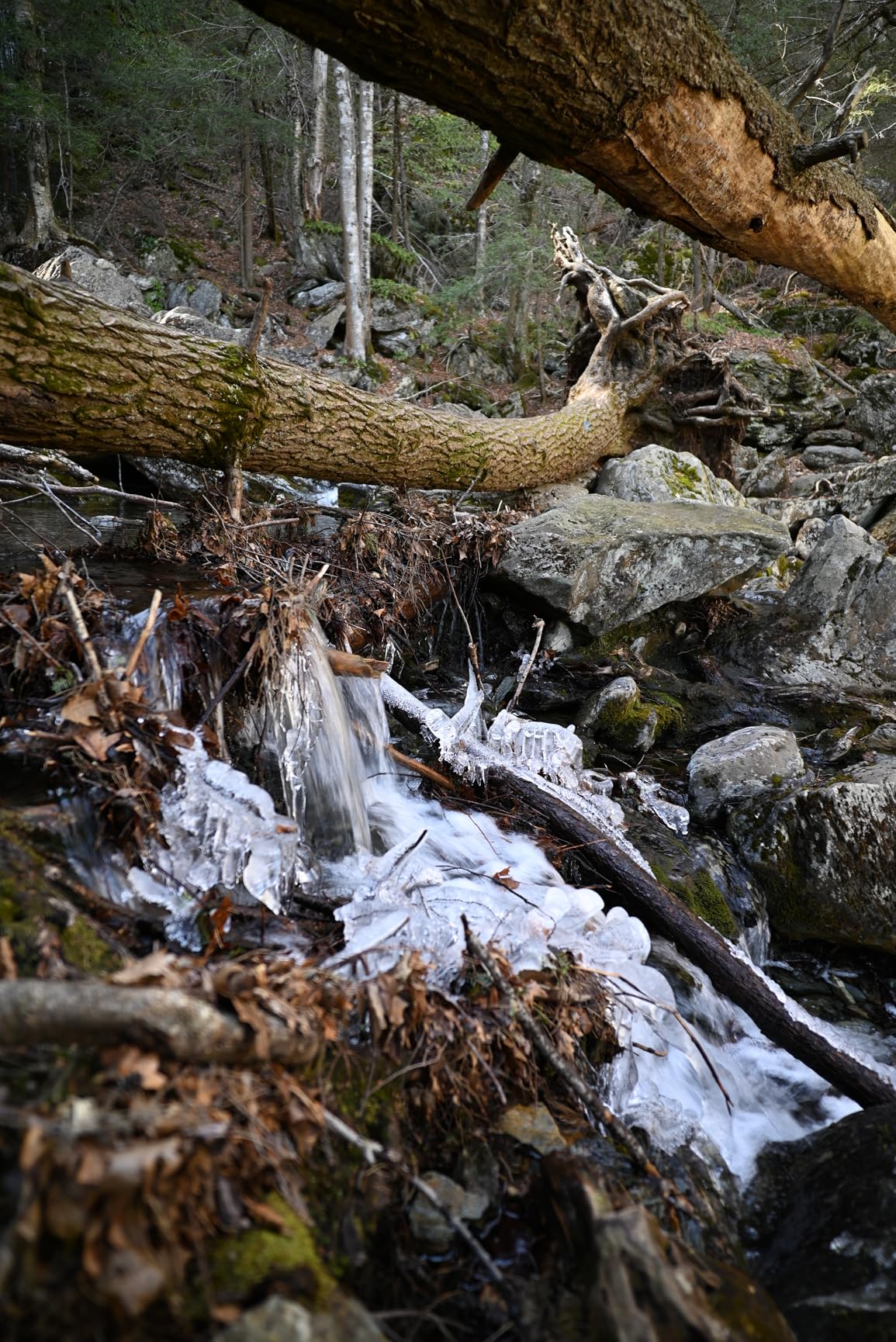 Viltrox 20mm F2.8 f/2.8 Z-Mount Camera Lens Full Frame Ultra Wide Angle Auto Focus Lens Compatible with Nikon Z-Mount Cameras customer photo 2