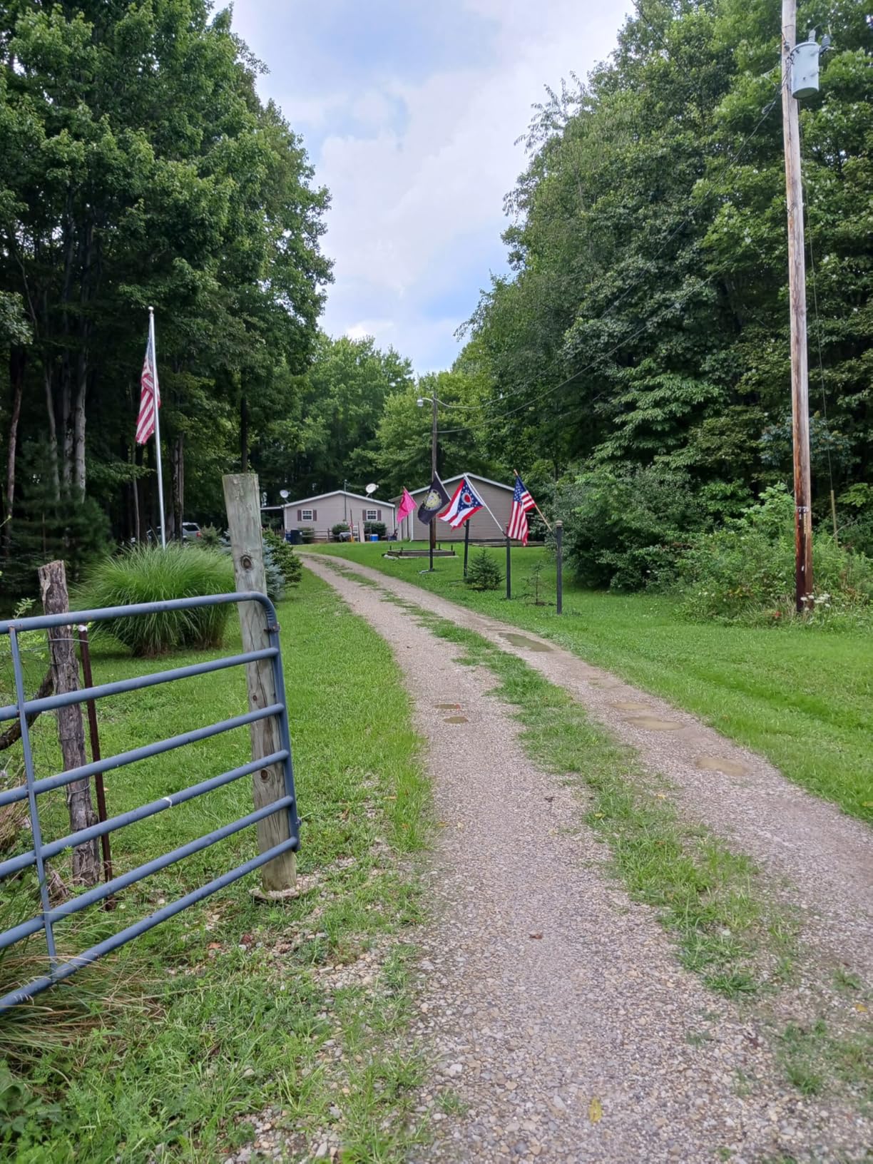 PRORUN 75.6cc 1020 CFM 240 MPH Gas-Powered 2-Cycle Backpack Leaf Blower, PBB2884 customer photo 2