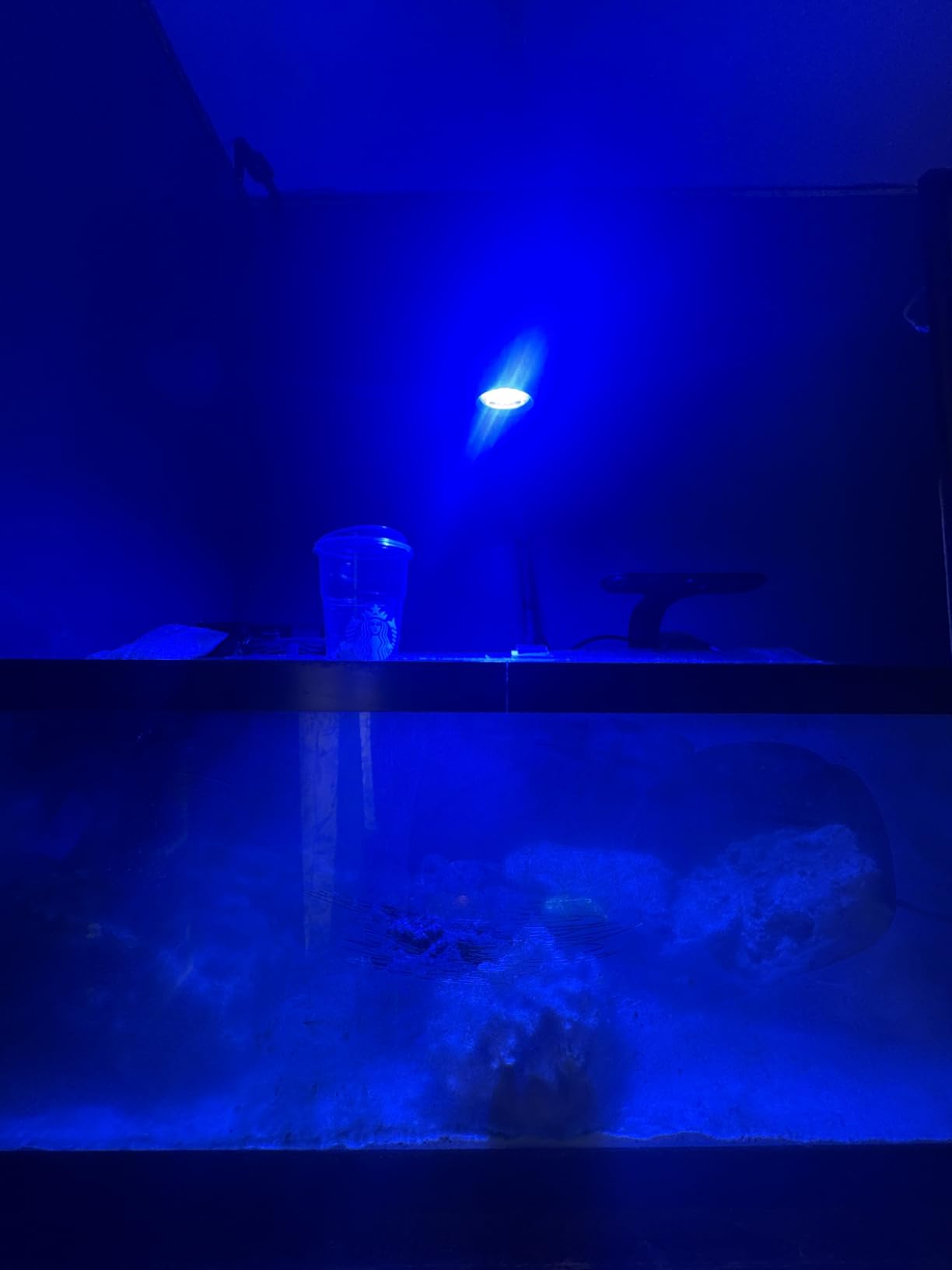 AquaIllumination AI Prime 16 HD LED App Controllable Saltwater Aquarium Reef Light - Black customer photo 2