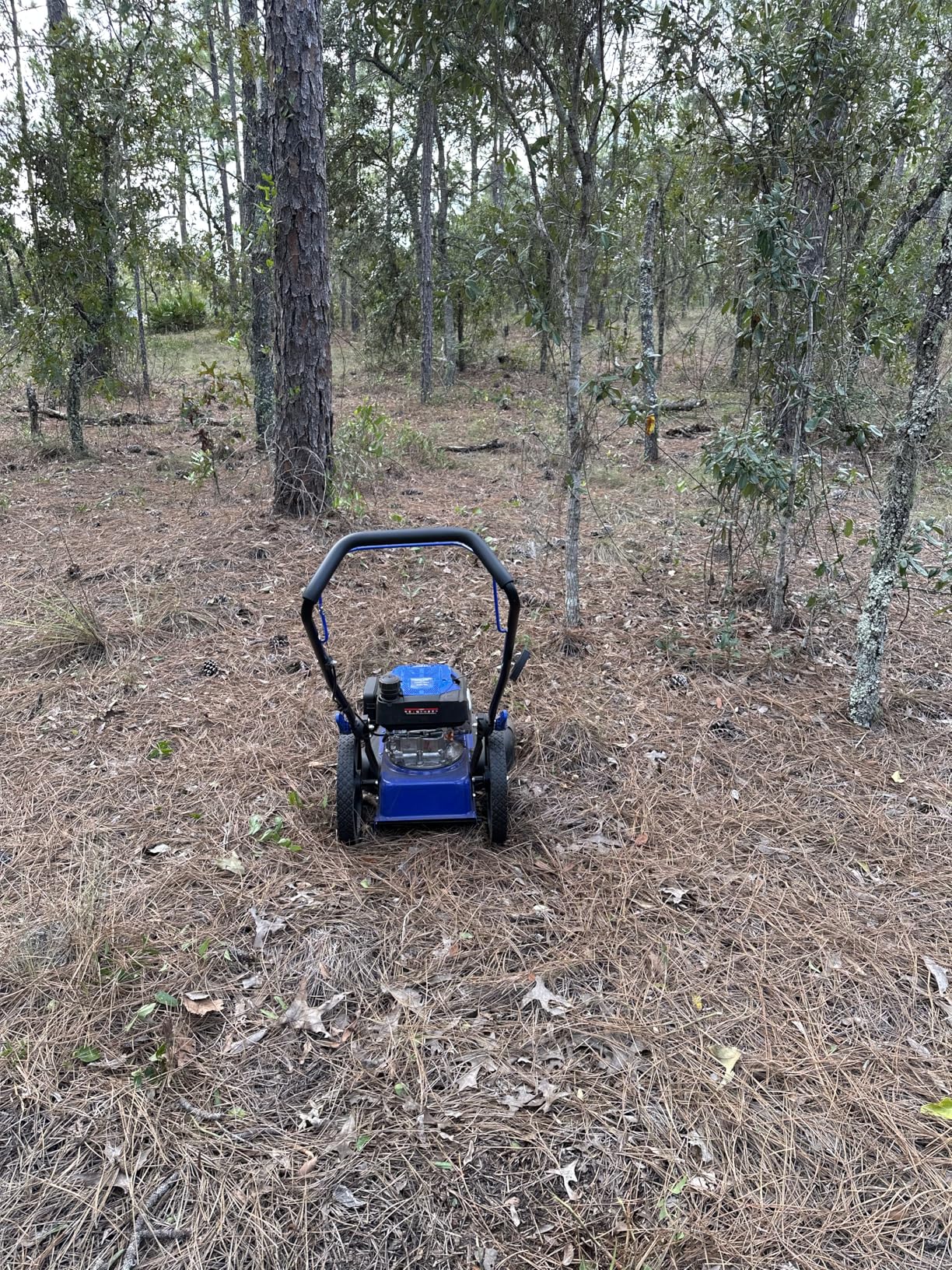 BILT HARD Walk Behind String Trimmer, 170cc 4-Cycle Gas Brush Hog Mower, 22 Inch Cutting Diameter, Push Weed Eater with 14 Inch Flat Free Wheels, Brush Cutter for Farm, Lawn, Yard customer photo 2