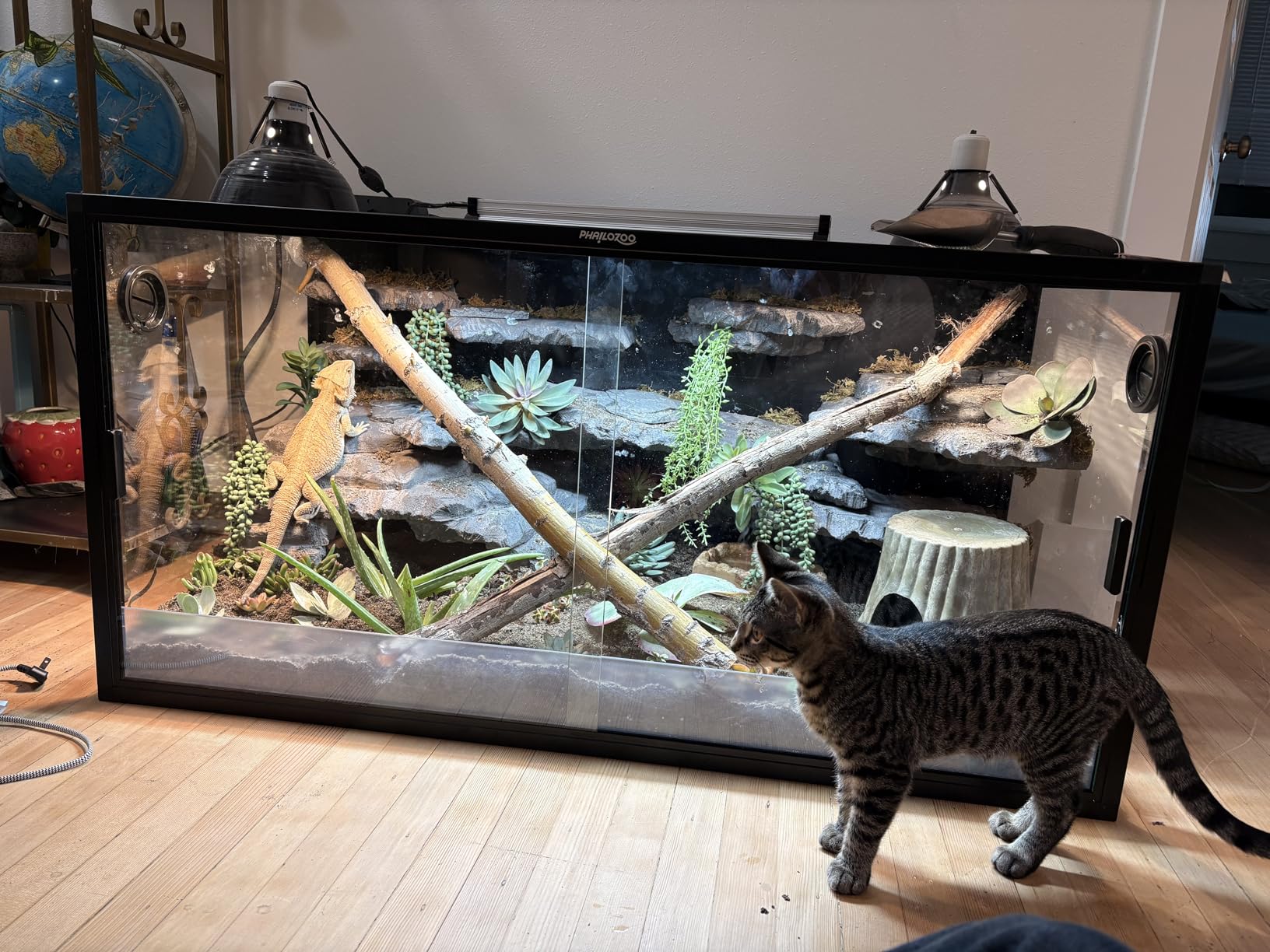 120 Gallon Bearded Dragon Tank, 48