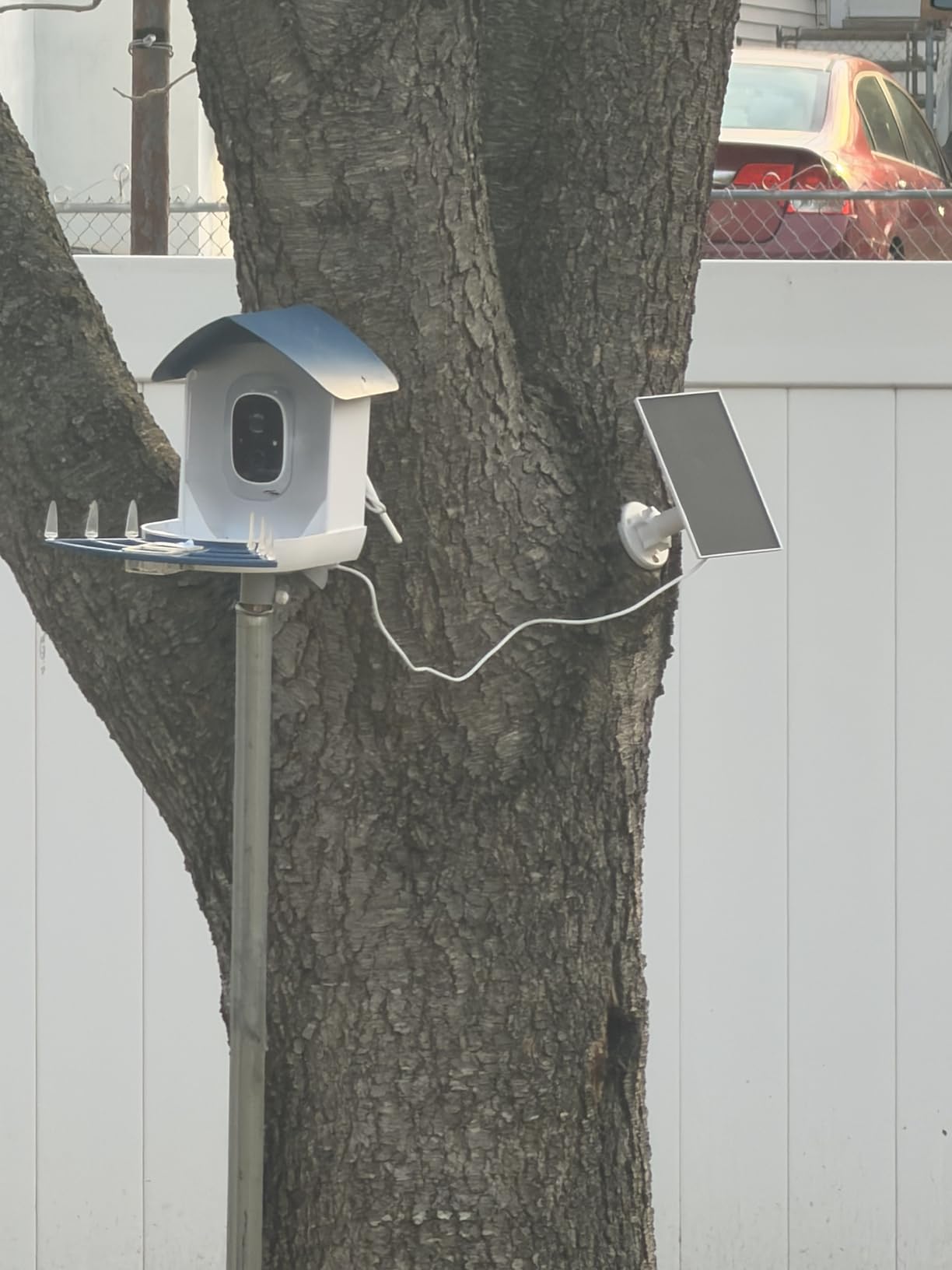 Bird Feeder with Camera,AI Identify Birds Species,Smart Bird Camera with Solar Powered,Auto Record FHD Birds Video in Backyard,Instant Notifications,Ideal Gift for Family and Bird Lovers,Navy Blue customer photo 1