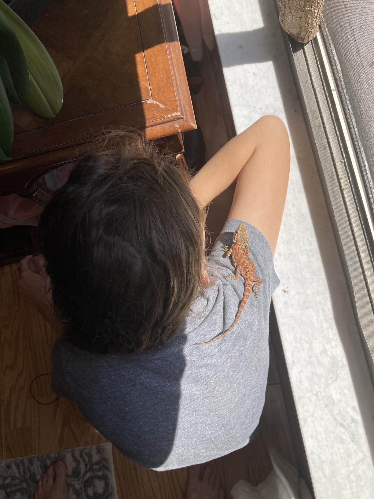 16-Inch LED UVB Reptile Light with Auto On/Off & Preset Day-Night Cycle Dimming, 4 UVI Modes Fixture Controller, 14W Aluminum UVA UVB Lamp for Bearded Dragons, Turtles & Snakes, 6500K customer photo 2