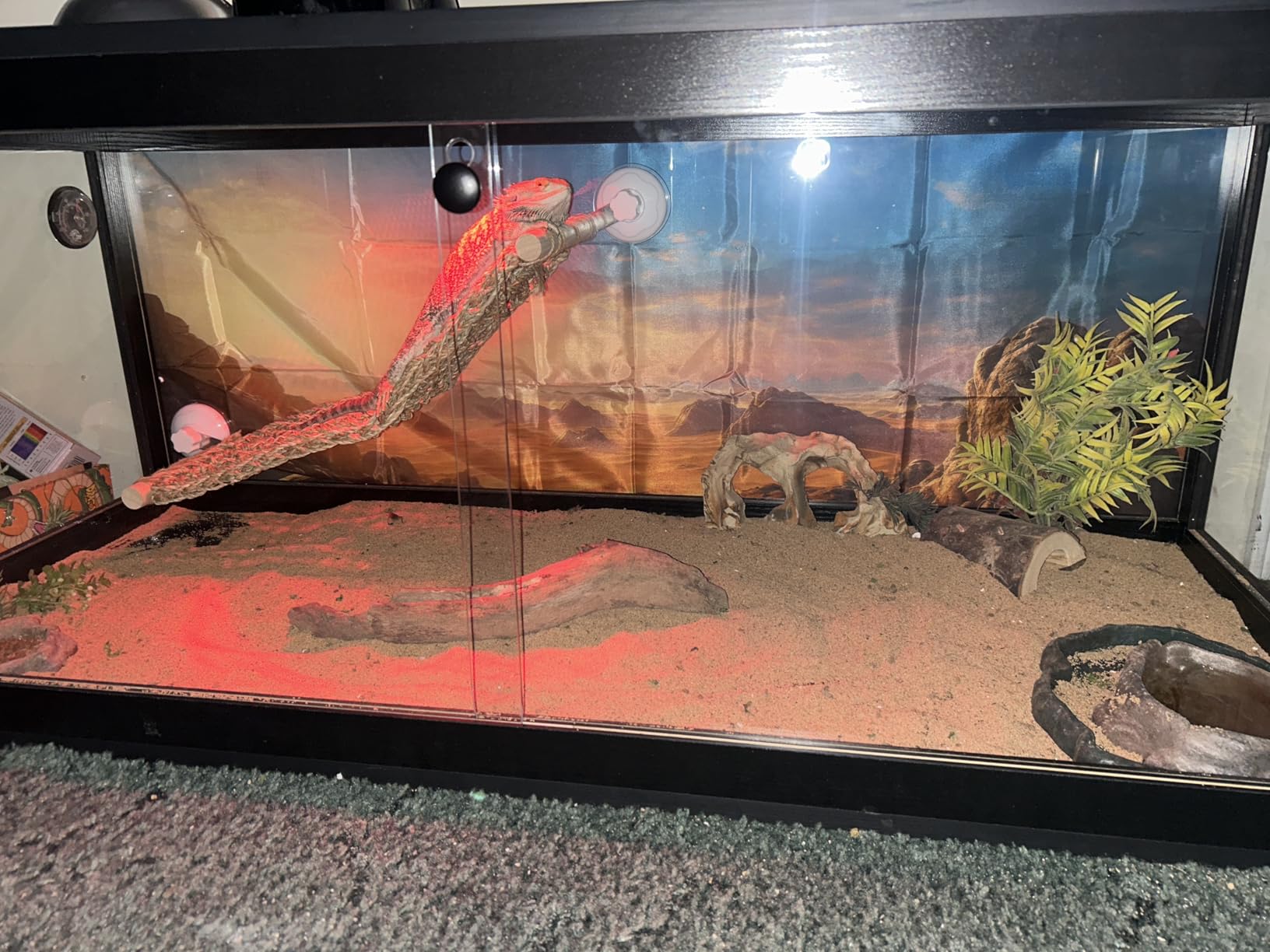 PROLEE Reptile Tank, 82 Gallon Beard Dragon Tank, Tempered Glass Reptile Encloure and Snake Tank with Locking Design for Lizard,Gecko,Chameleon (48