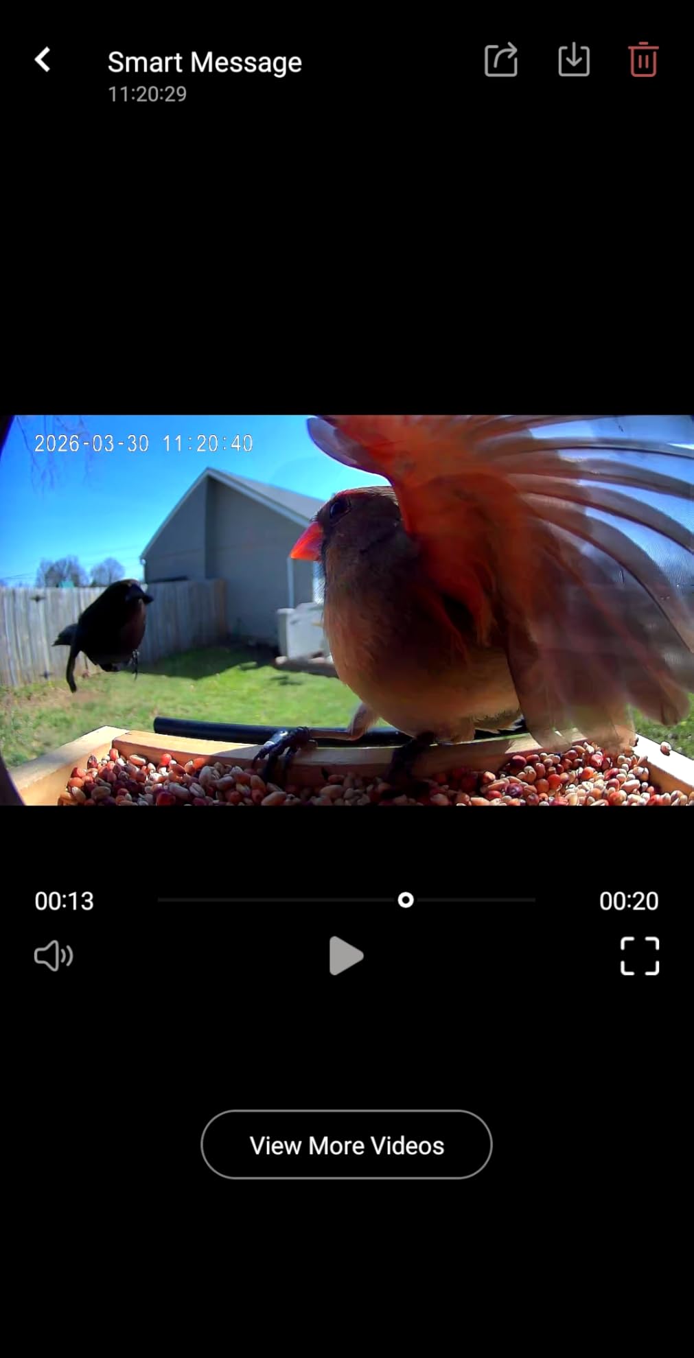 TT Nature Bird Feeder with Camera, Upgraded 1.5L Smart Birdhouse Al Identify for 10000 Plus Species, Auto Capture & Real-time Notifications, Ideal Gift for Bird Lovers (Iron Roof) customer photo 1