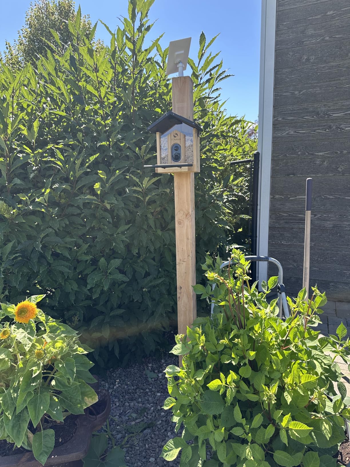 TT Nature Bird Feeder with Camera, Upgraded 1.5L Smart Birdhouse Al Identify for 10000 Plus Species, Auto Capture & Real-time Notifications, Ideal Gift for Bird Lovers (Iron Roof) customer photo 2