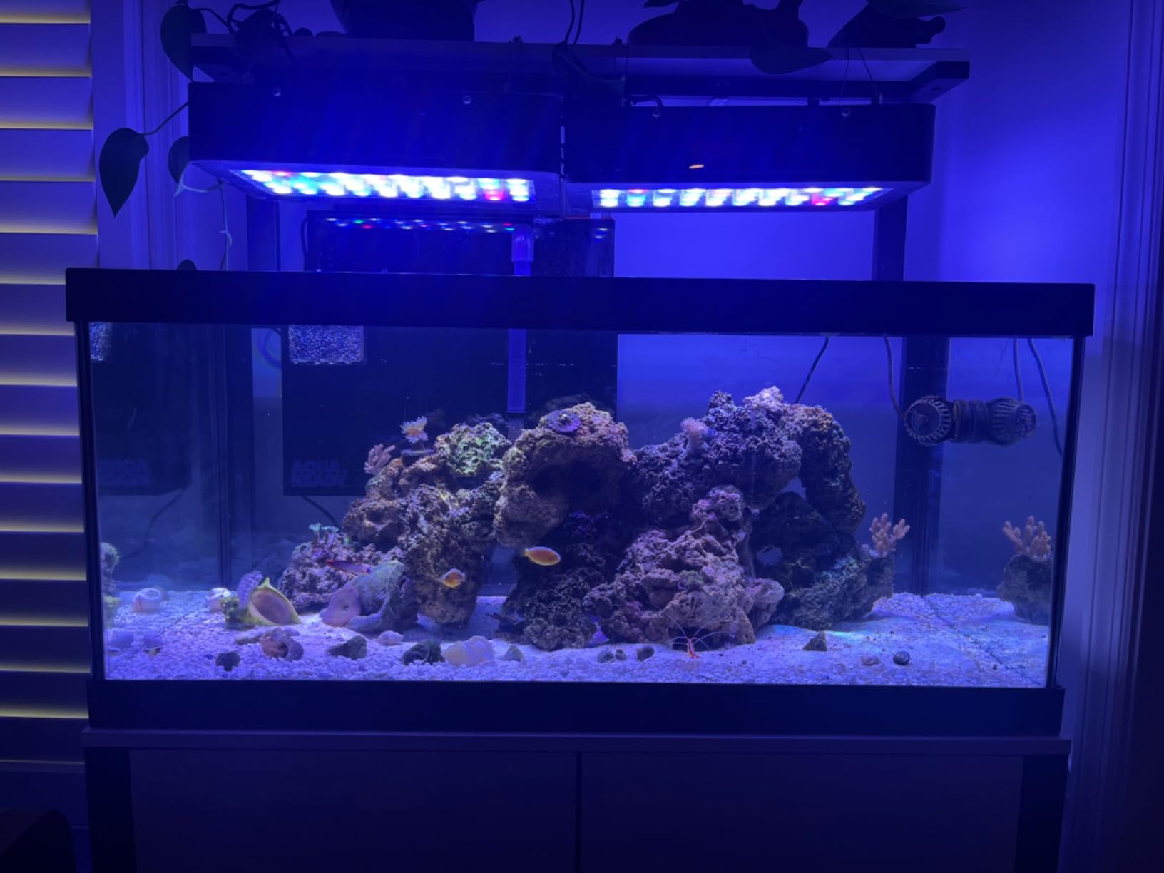 HF-M Hang On Back Aquarium Filter with Protein Skimmer - Filtration for Saltwater Aquariums, Fish Tanks Up to 60 Gallons, Ultra Quiet Multi Step Filter, Probe Holders, Inlcudes Bio Media customer photo 1