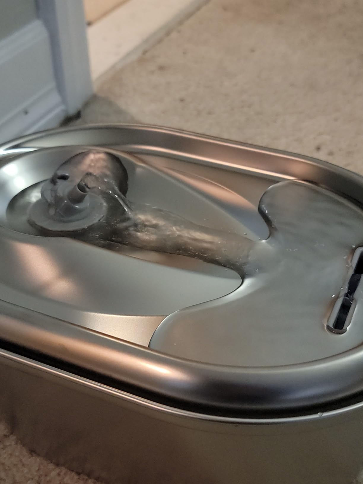 PETLIBRO Stainless Steel Cat Water Fountain, 101oz/3L Pet Water Fountain for Cats Inside, Food-Grade Dog Water Fountain customer photo 2