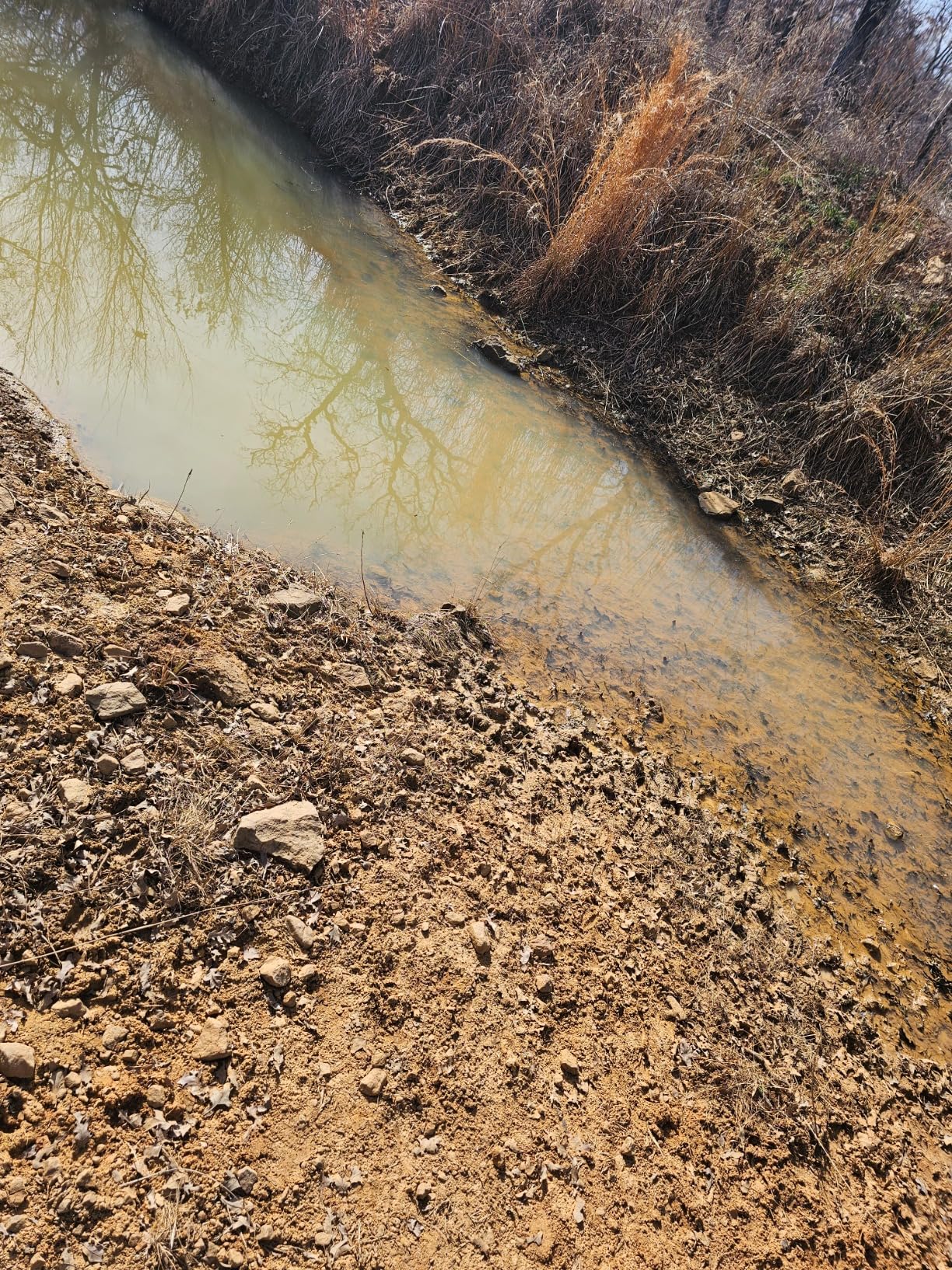 POPOSOAP 15W Solar Pond Aerator, Solar Aerators for Ponds with 4400mAh Battery, Solar Aquarium Air Pump with 2 Outlets and Power Display, 3 Mode Solar Air Pump for Fish Pond Tank Hydroponics Wildlife customer photo 1