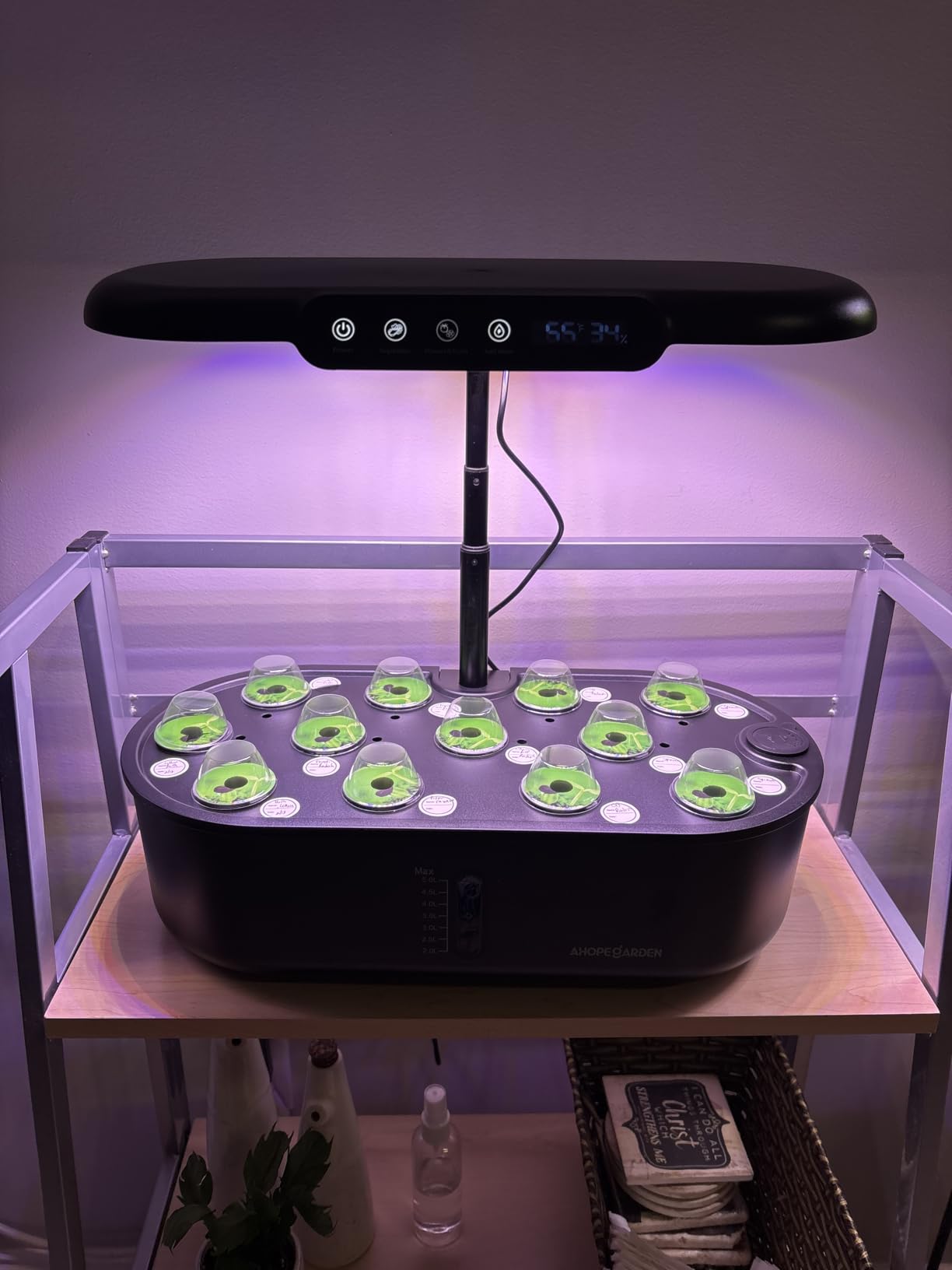 Ahopegarden Hydroponics Growing System kit: 12 Pods Indoor Herb Garden with Smart Environmental Detection - Full Spectrum LED Grow Light customer photo 2