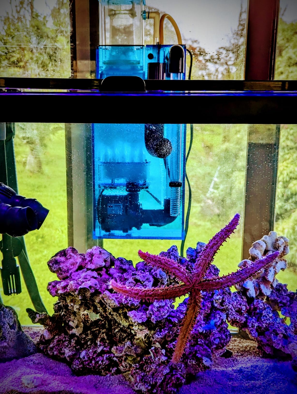 Hang On Back Protein Skimmer for Saltwater Aquariums HOB-1.5, Up to 75 Gallon Fish Tank Filtration, Hang On External, Adjustable, Ultra Quiet Pinwheel Pump customer photo 2