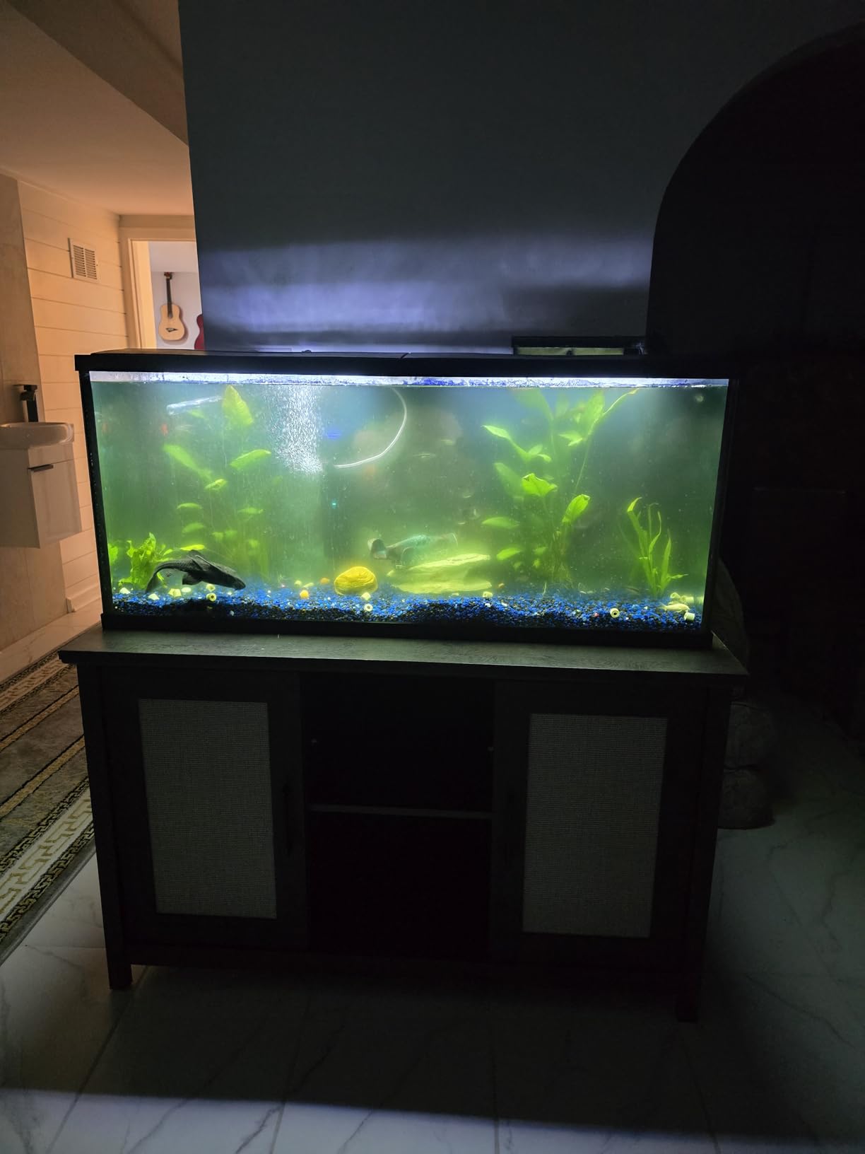 600GPH UV Aquarium Filter for 75-300 Gal Tank, Large Fish Turtle Tank Green Water Clean Machine Submersible Canister Filter customer photo 1