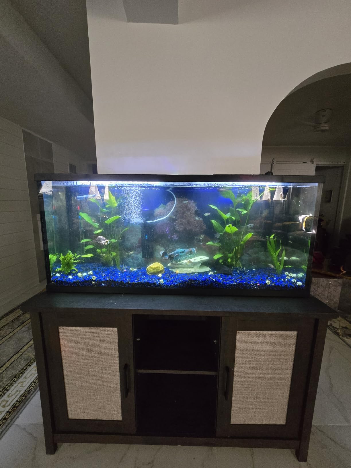 600GPH UV Aquarium Filter for 75-300 Gal Tank, Large Fish Turtle Tank Green Water Clean Machine Submersible Canister Filter customer photo 2