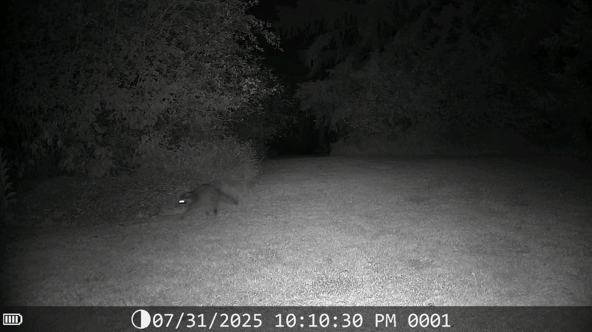 DEATTI Trail Camera 48MP 4K Game Camera with 8 Batteries 32GB SD Card, WiFi Bluetooth Connection, Trail Cameras with Night Vision Motion Activated Waterproof for Wildlife Deer Outdoor 0.1s Trigger Time customer photo 2