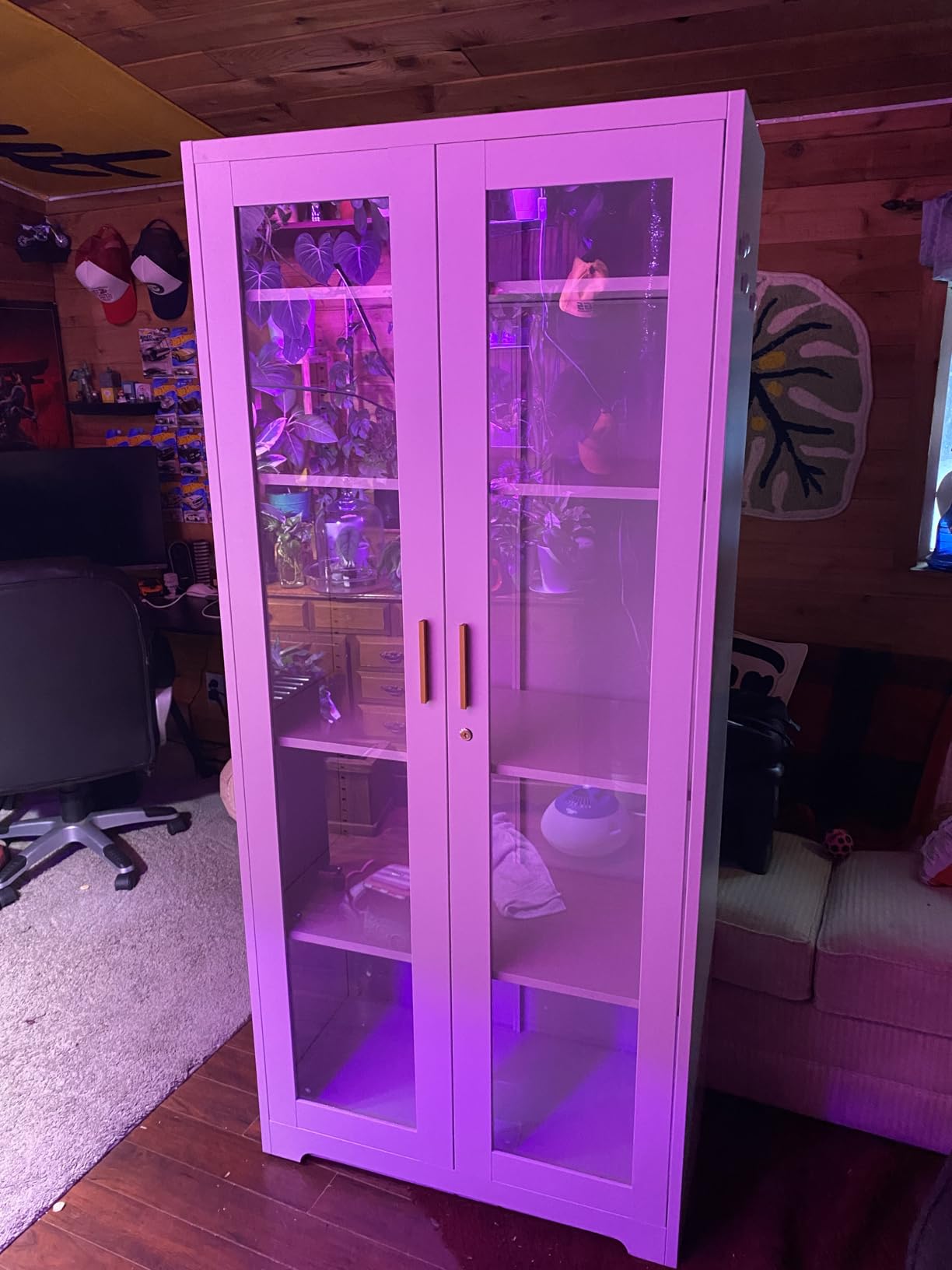 Glass Display Cabinet with Lock, Metal Curio Cabinet with Tempered Glass Doors & Adjustable Shelves, Heavy-Duty China Cabinets for Living Room, School, Commercial, Black, Assembly Required customer photo 2